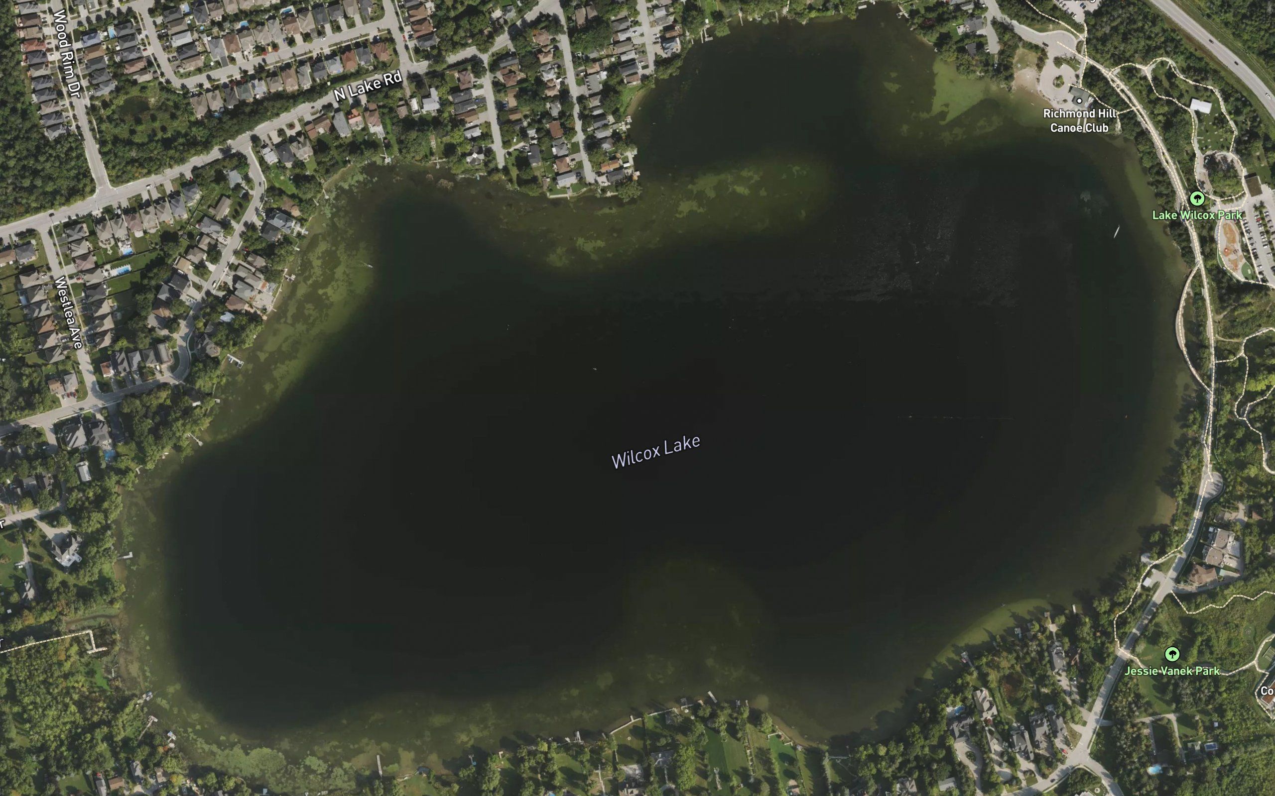 Wilcox Lake