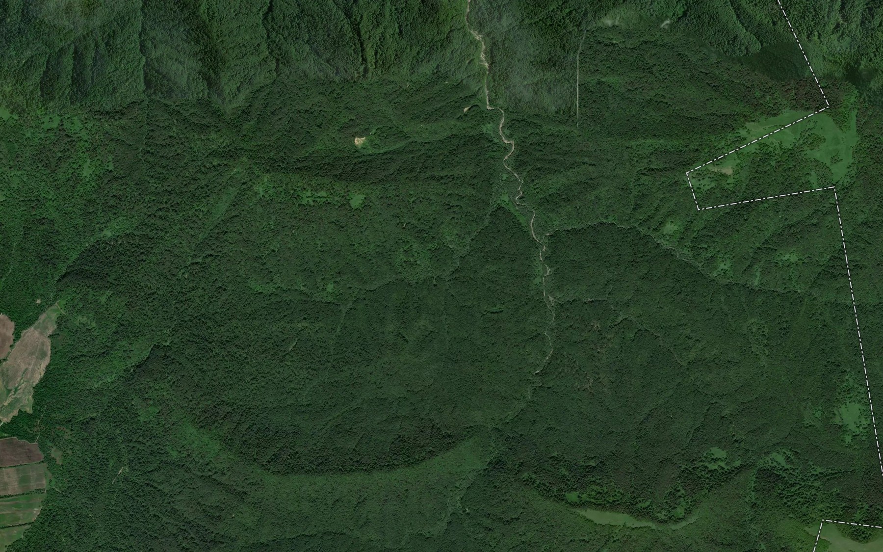 Satellite map of the Tarskaya