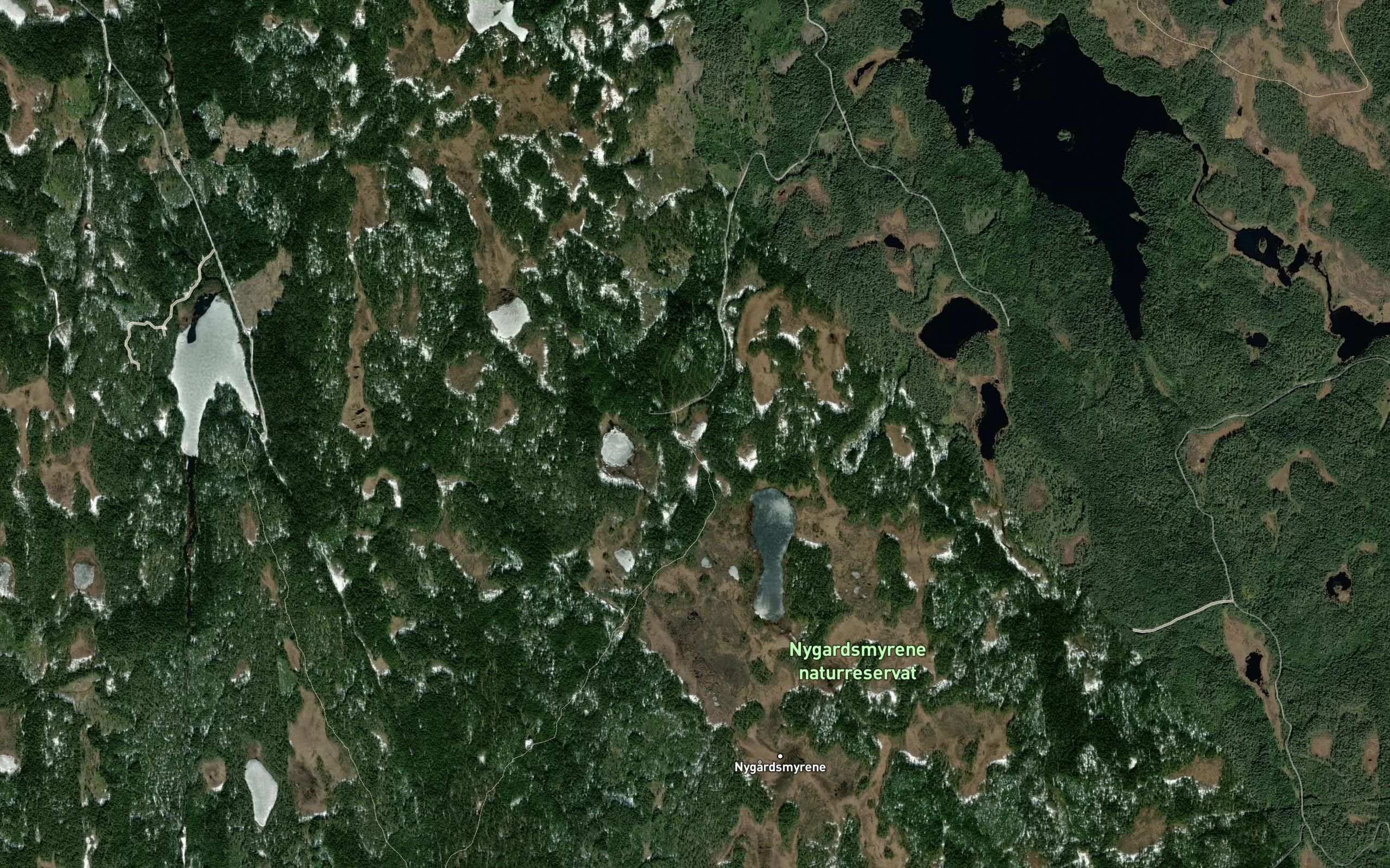 Grevlingtjern,nordre