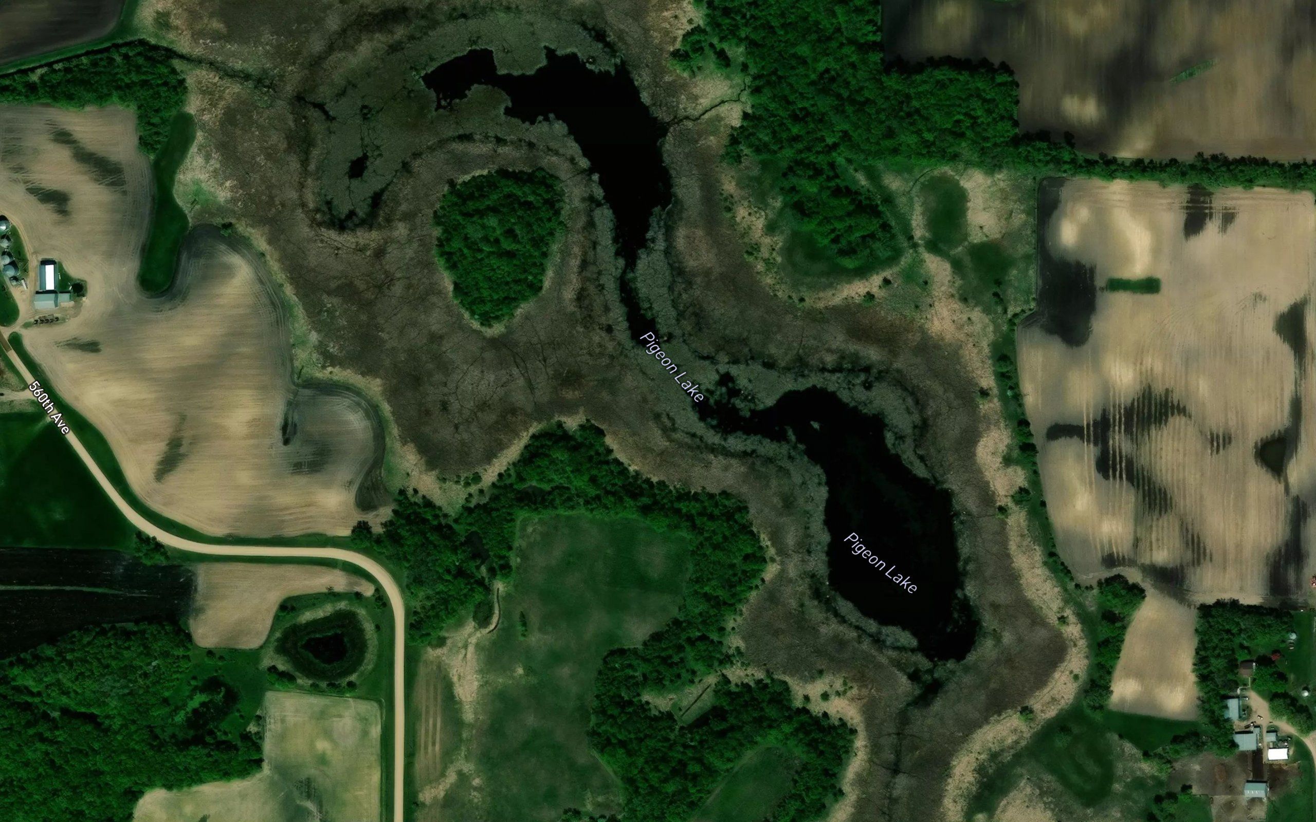 Pigeon Lake