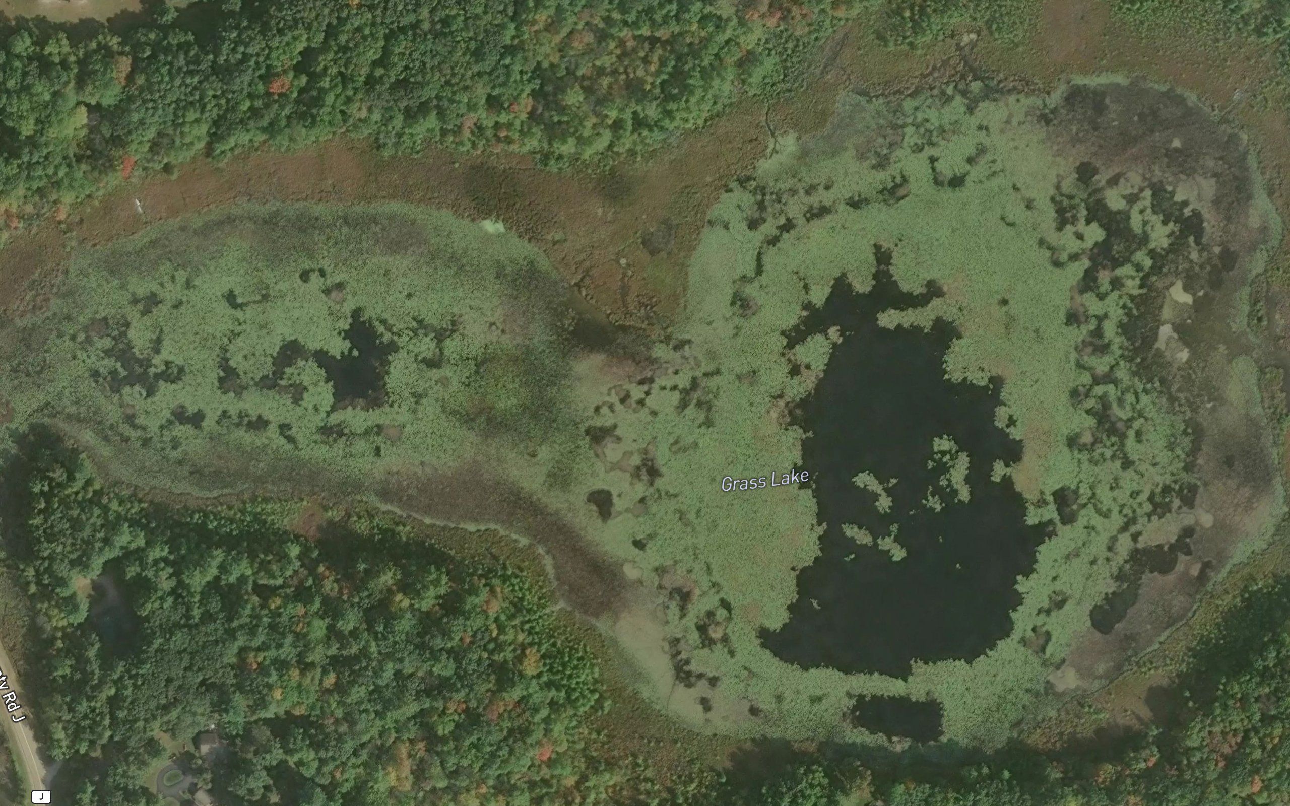 Grass Lake