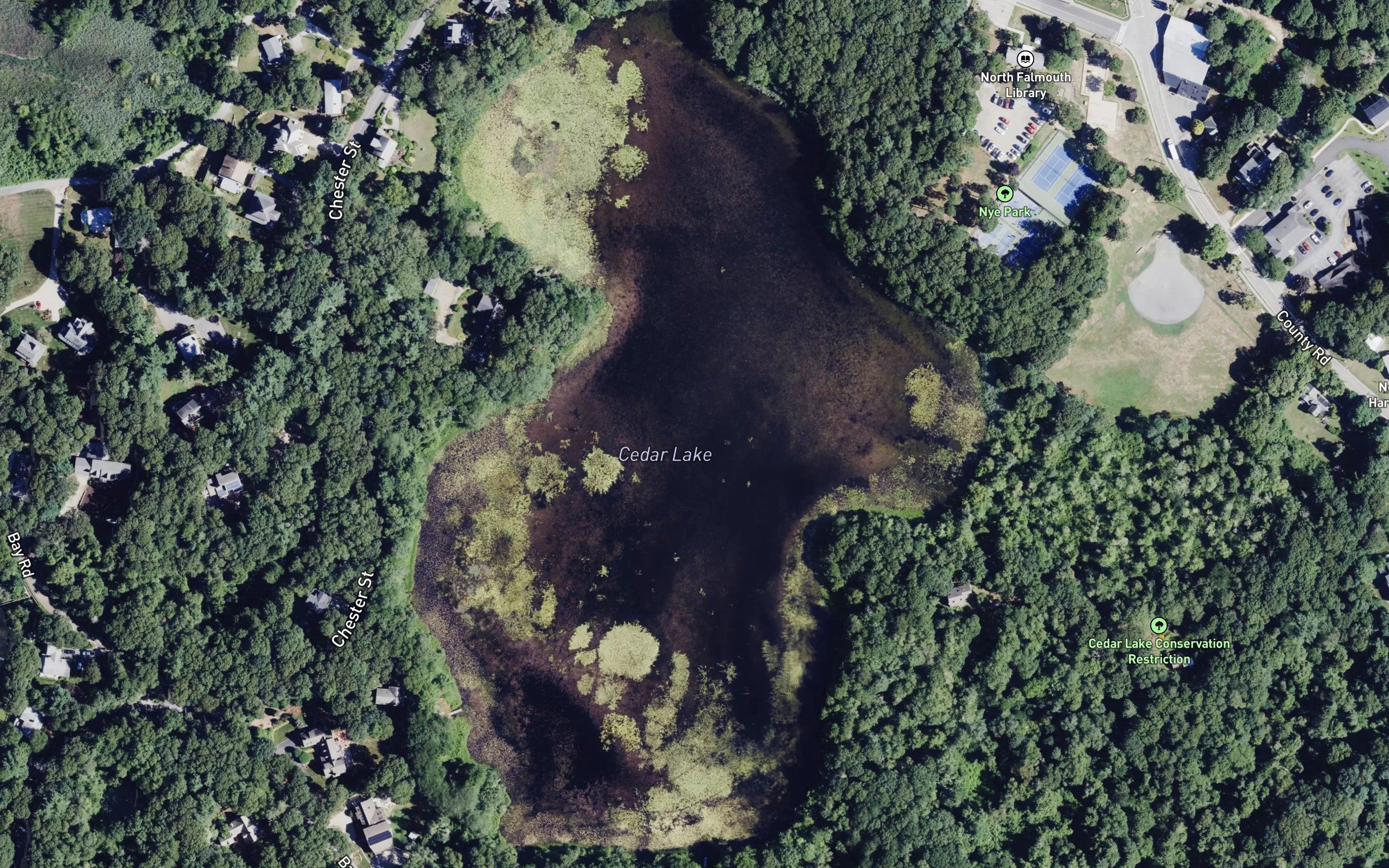 Cedar Lake