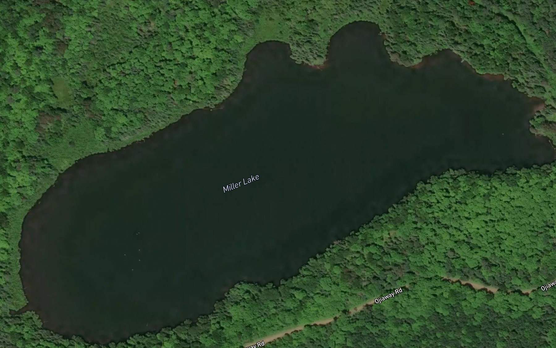 Satellite map of the Miller Lake