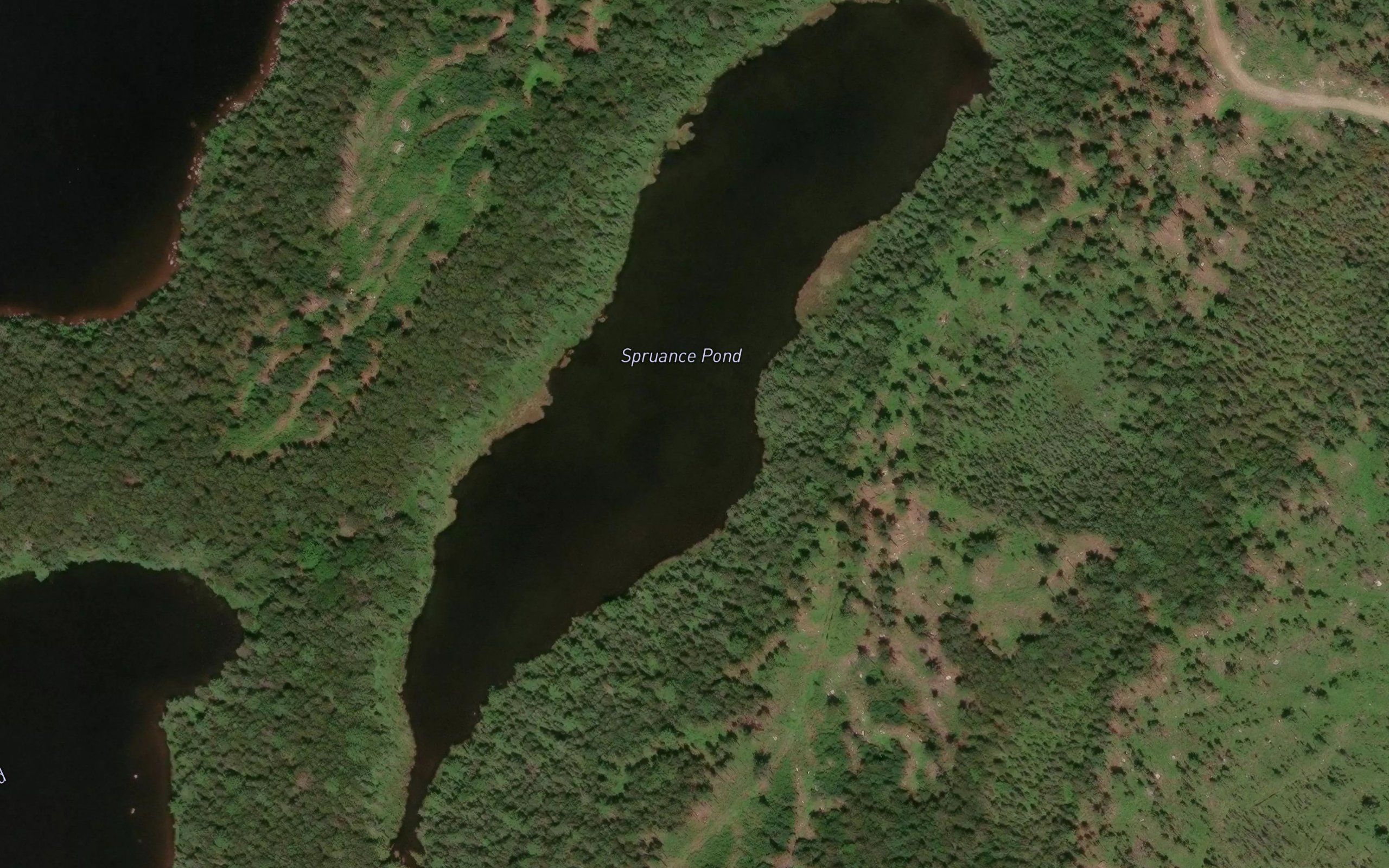 Spruance Pond
