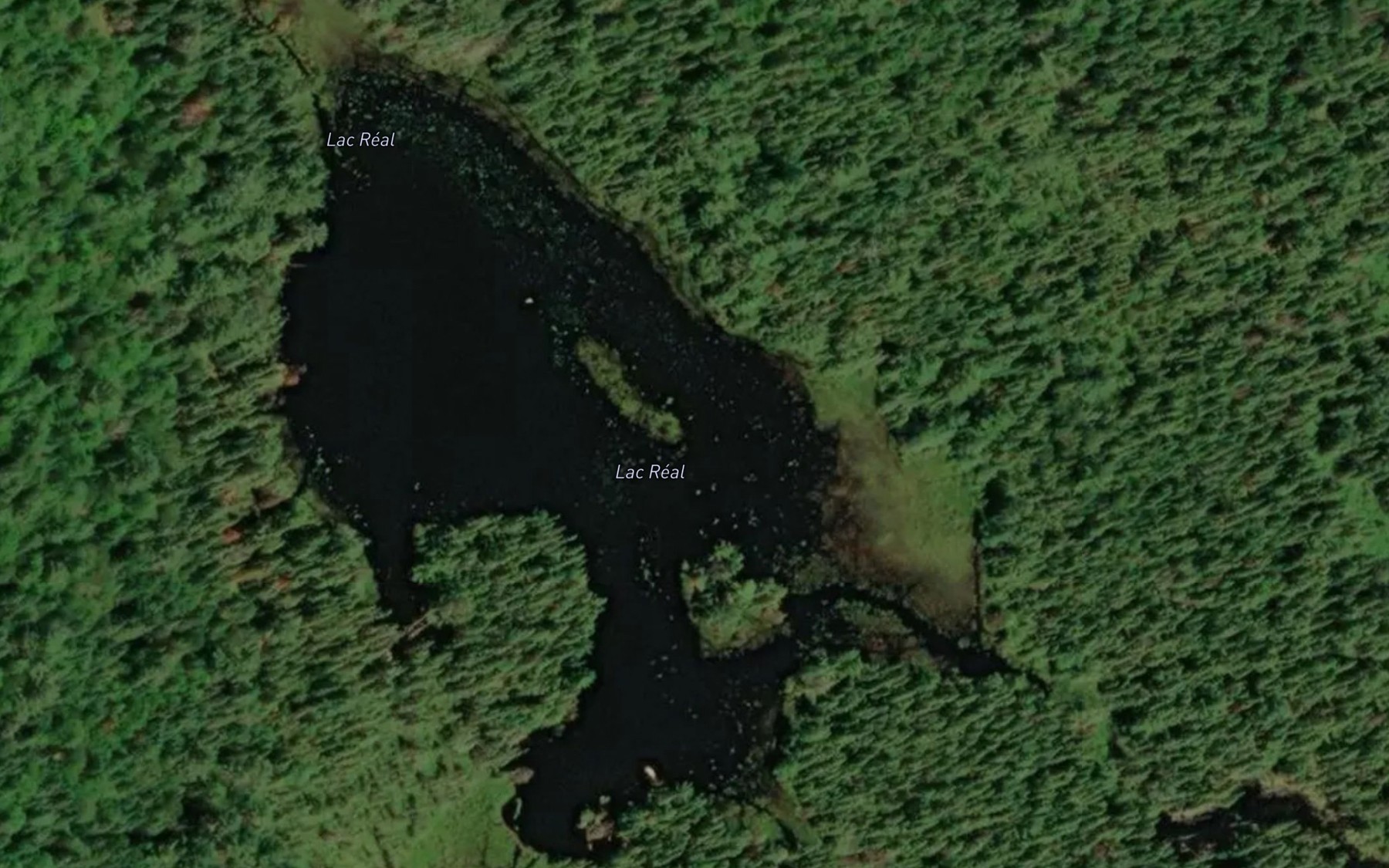 Satellite map of the Lac Real