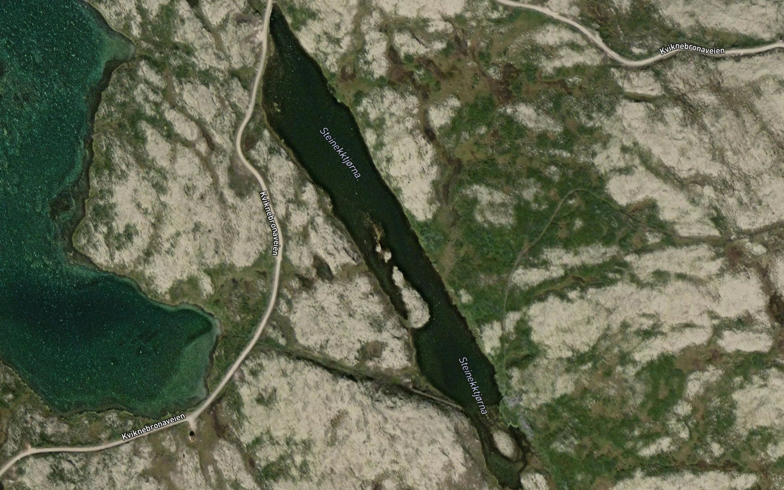 Steinbekktjorna