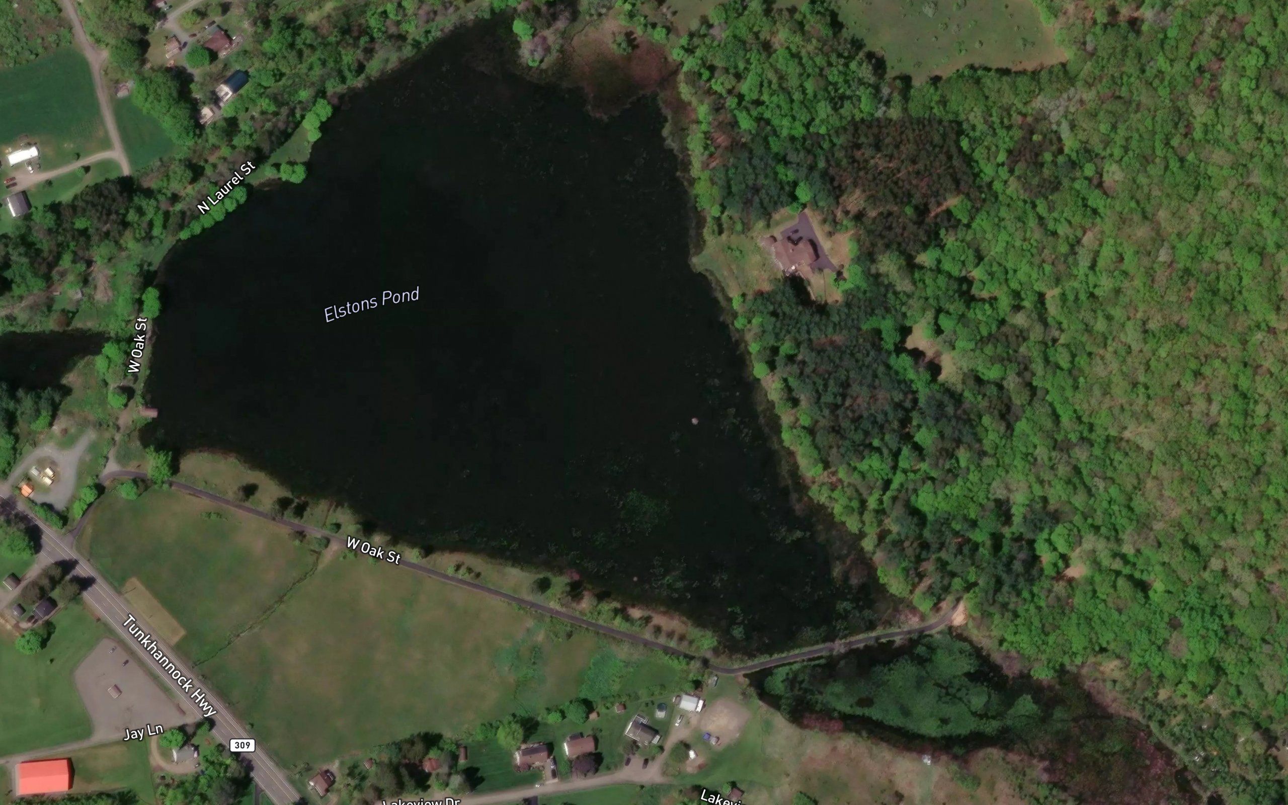 Elstons Pond