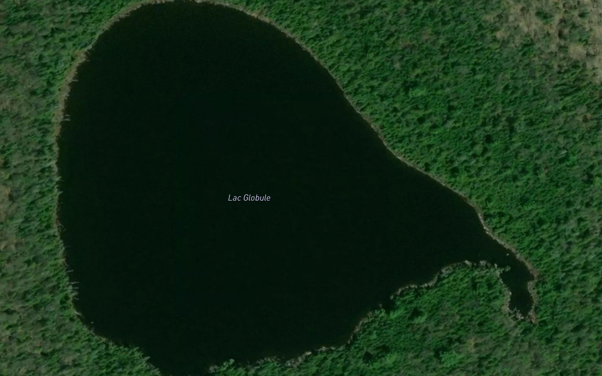 Lac Globule