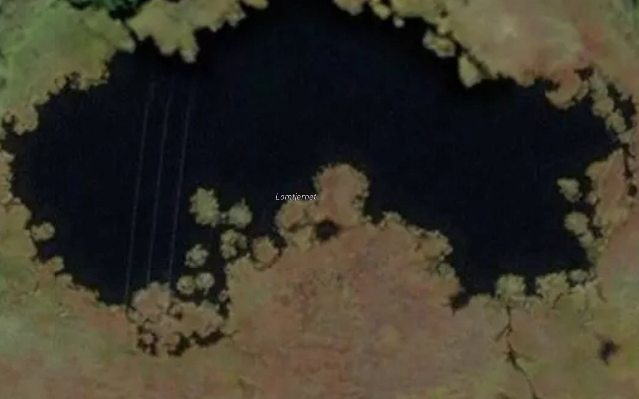 Lomtjernet