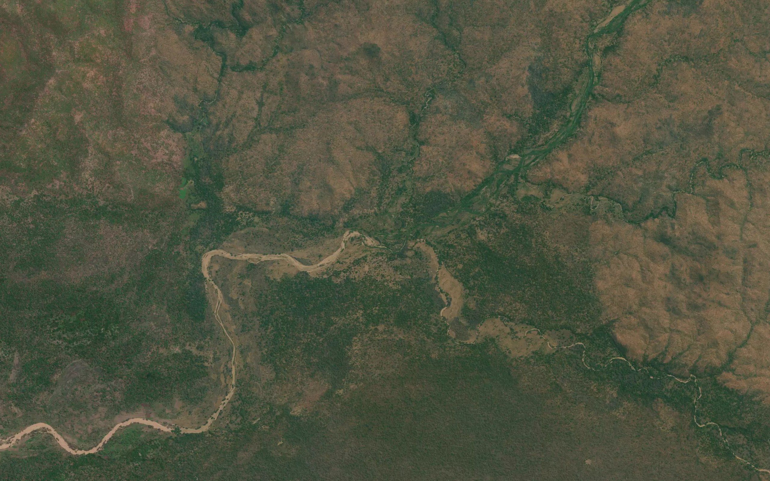 Pamba