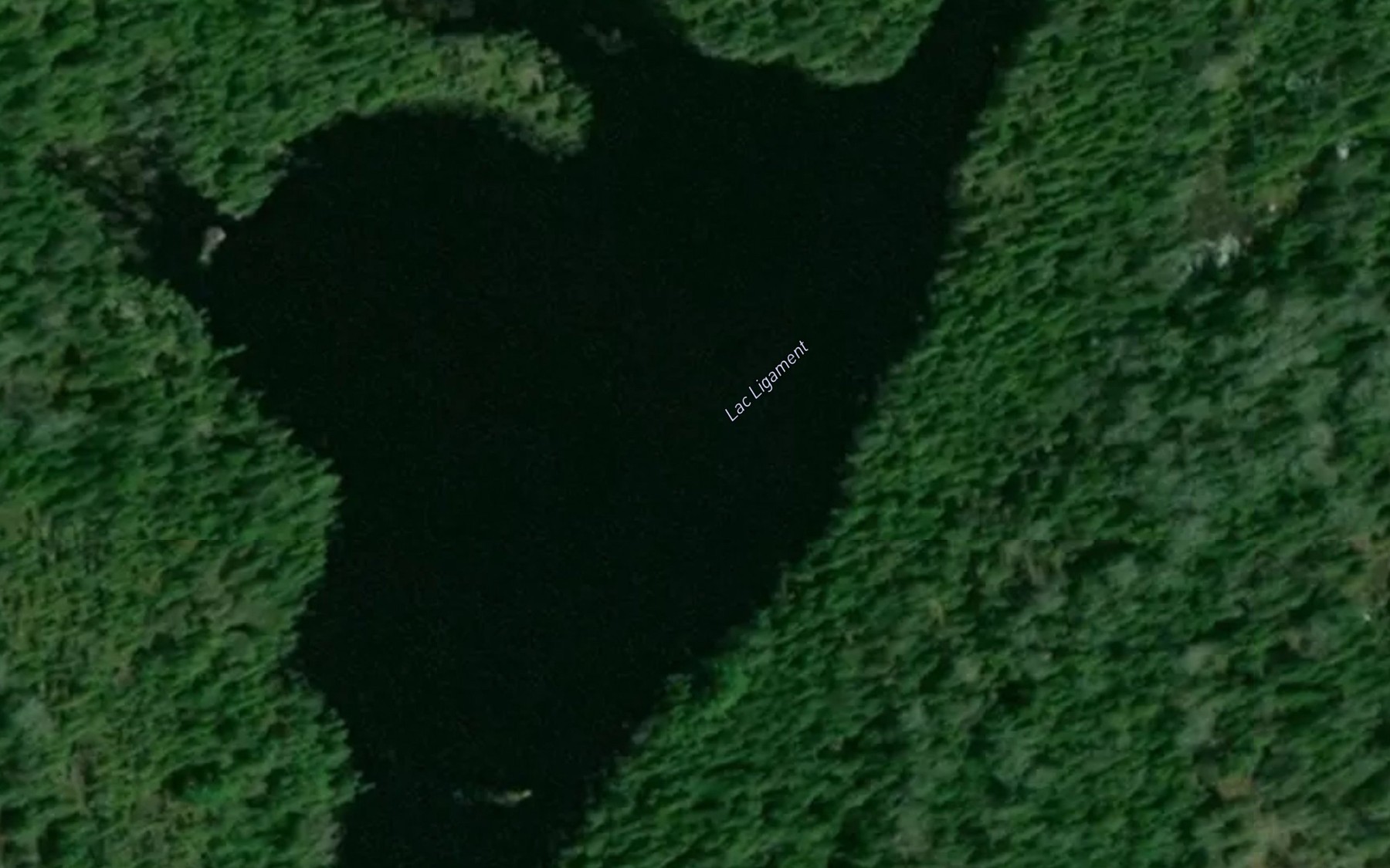Satellite map of the Lac Ligament