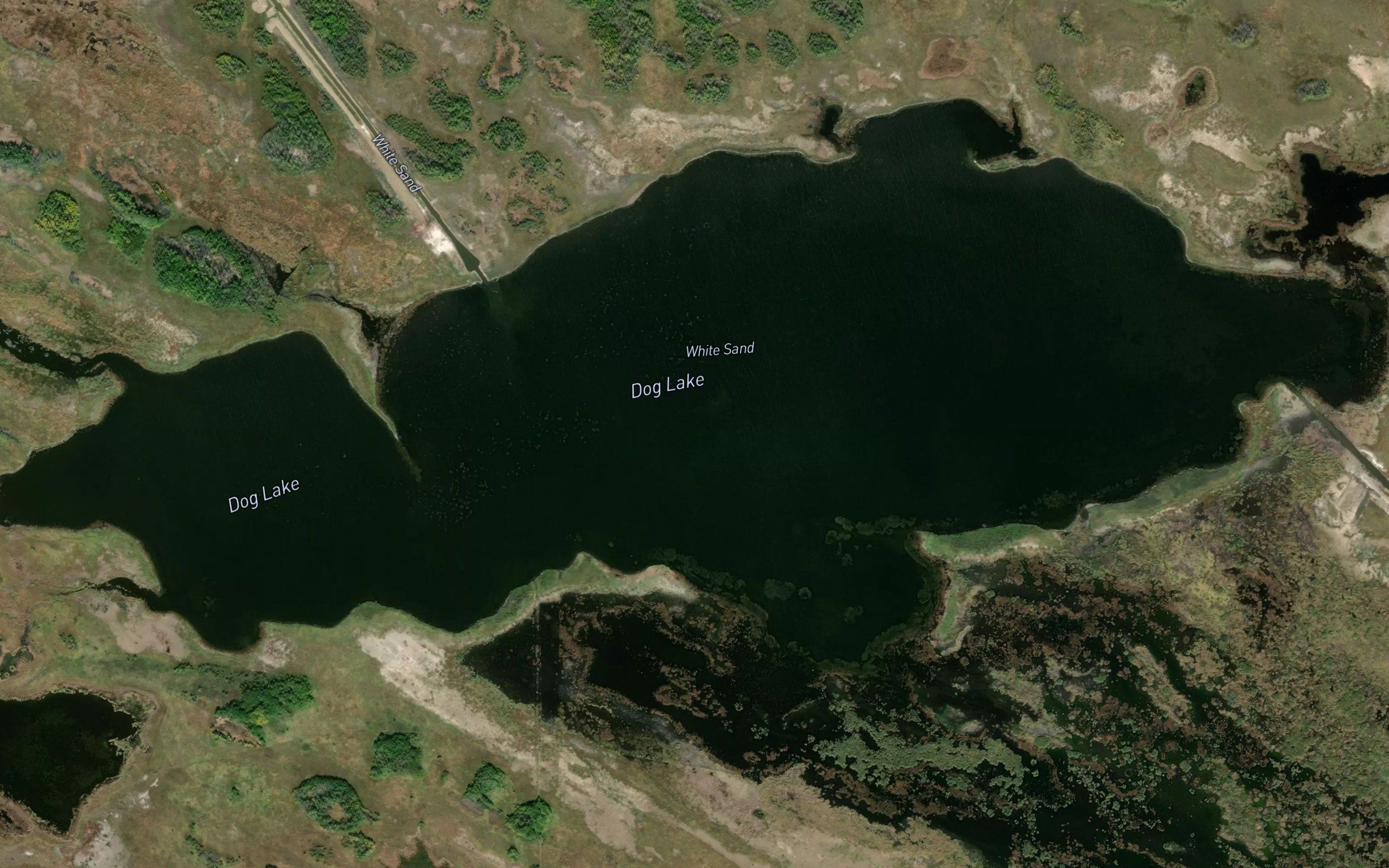 Dog Lake