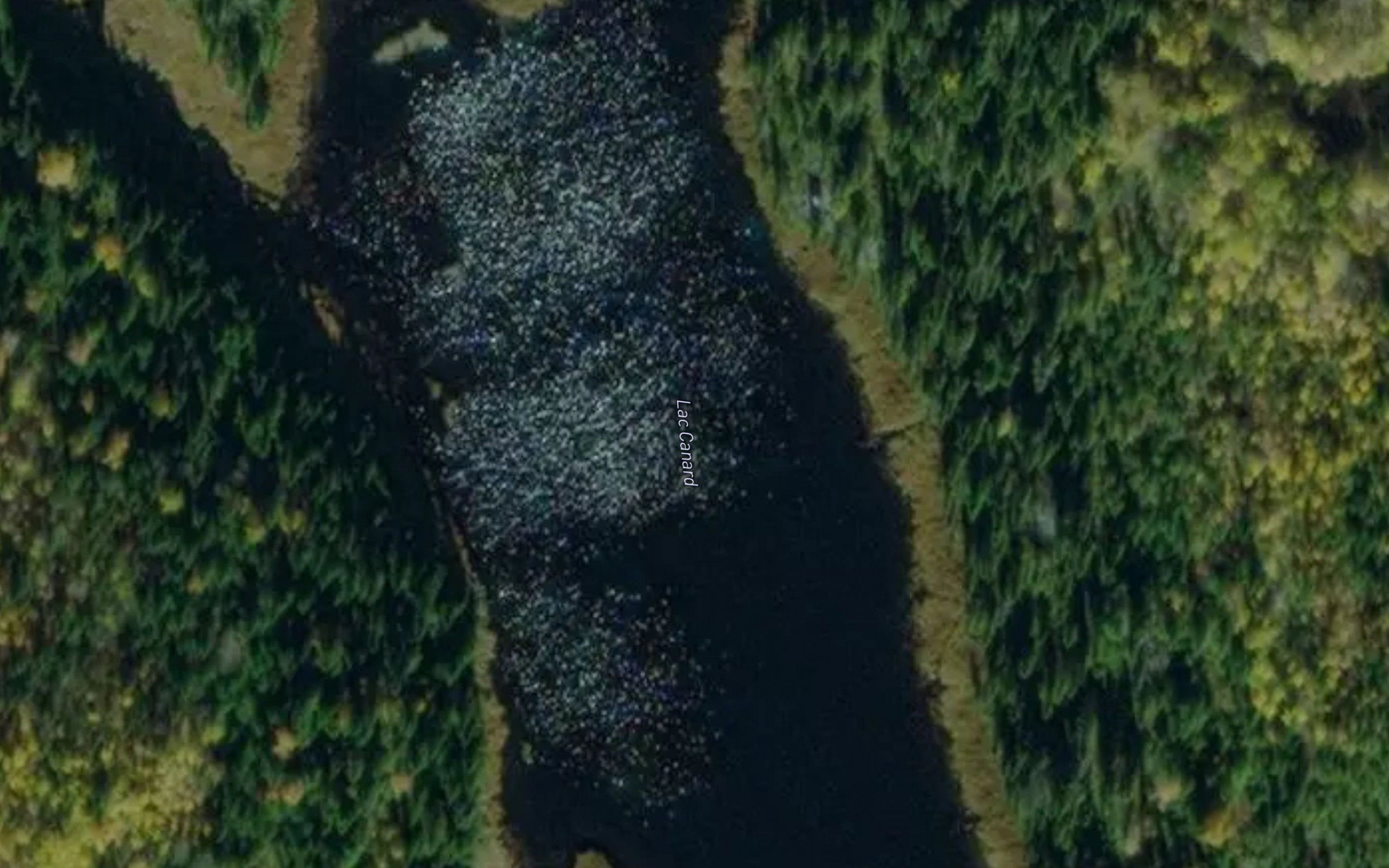 Lac Canard