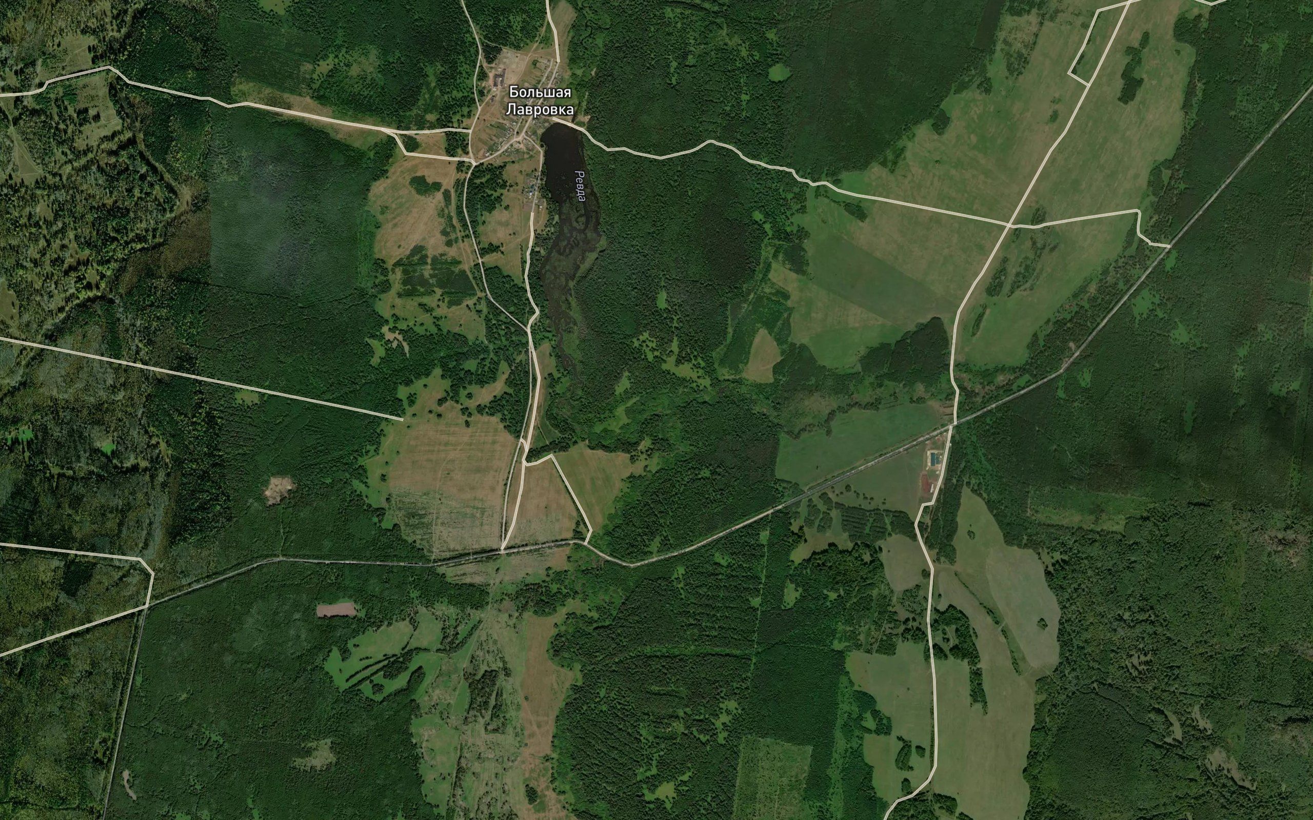 Blizhnyaya