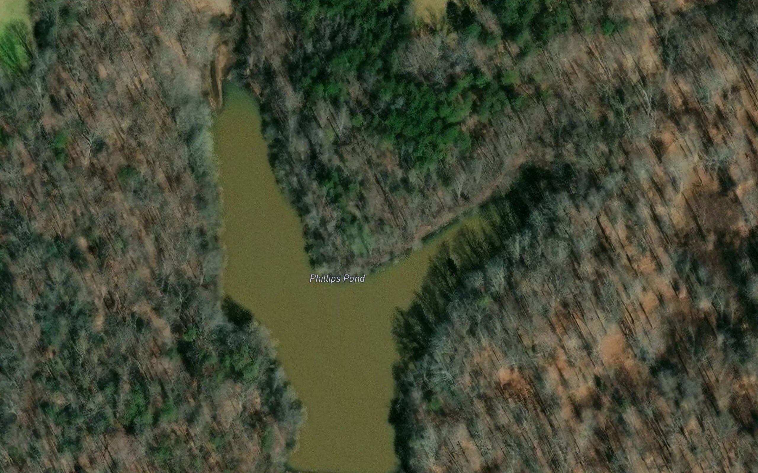 Phillips Pond