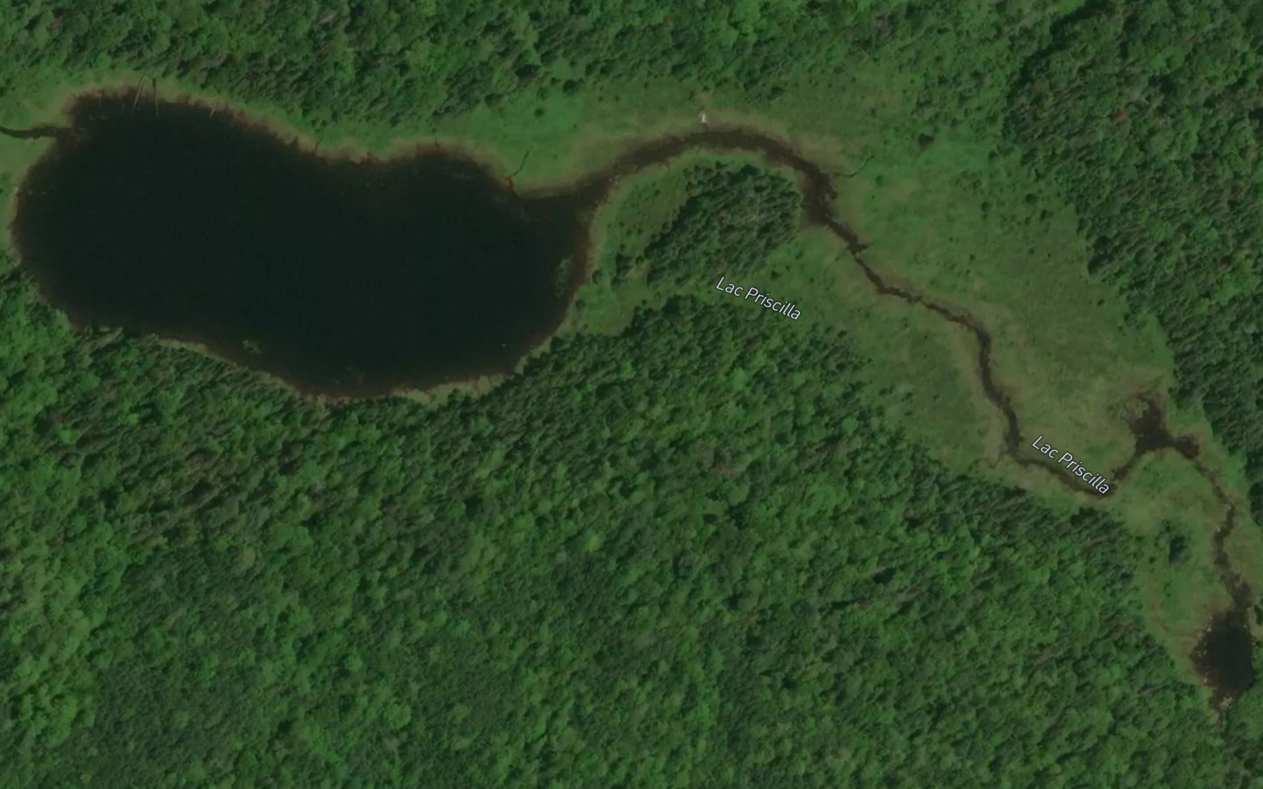 Satellite map of the Lac Priscilla