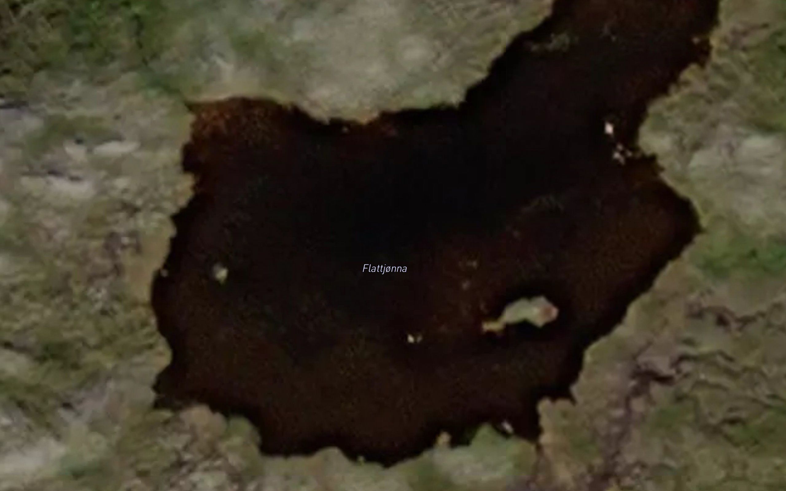 Flattjorna
