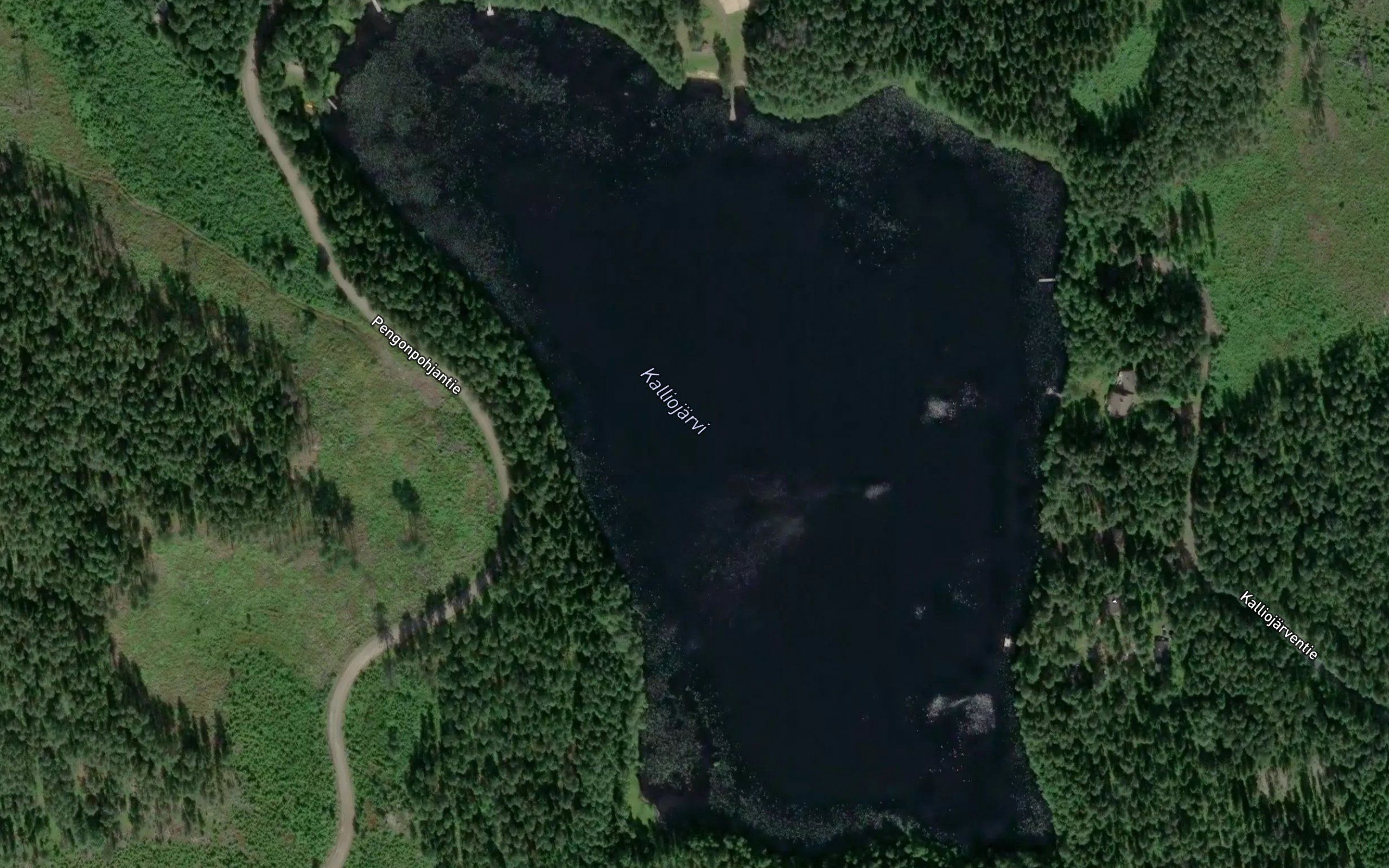 Kalliojarvi
