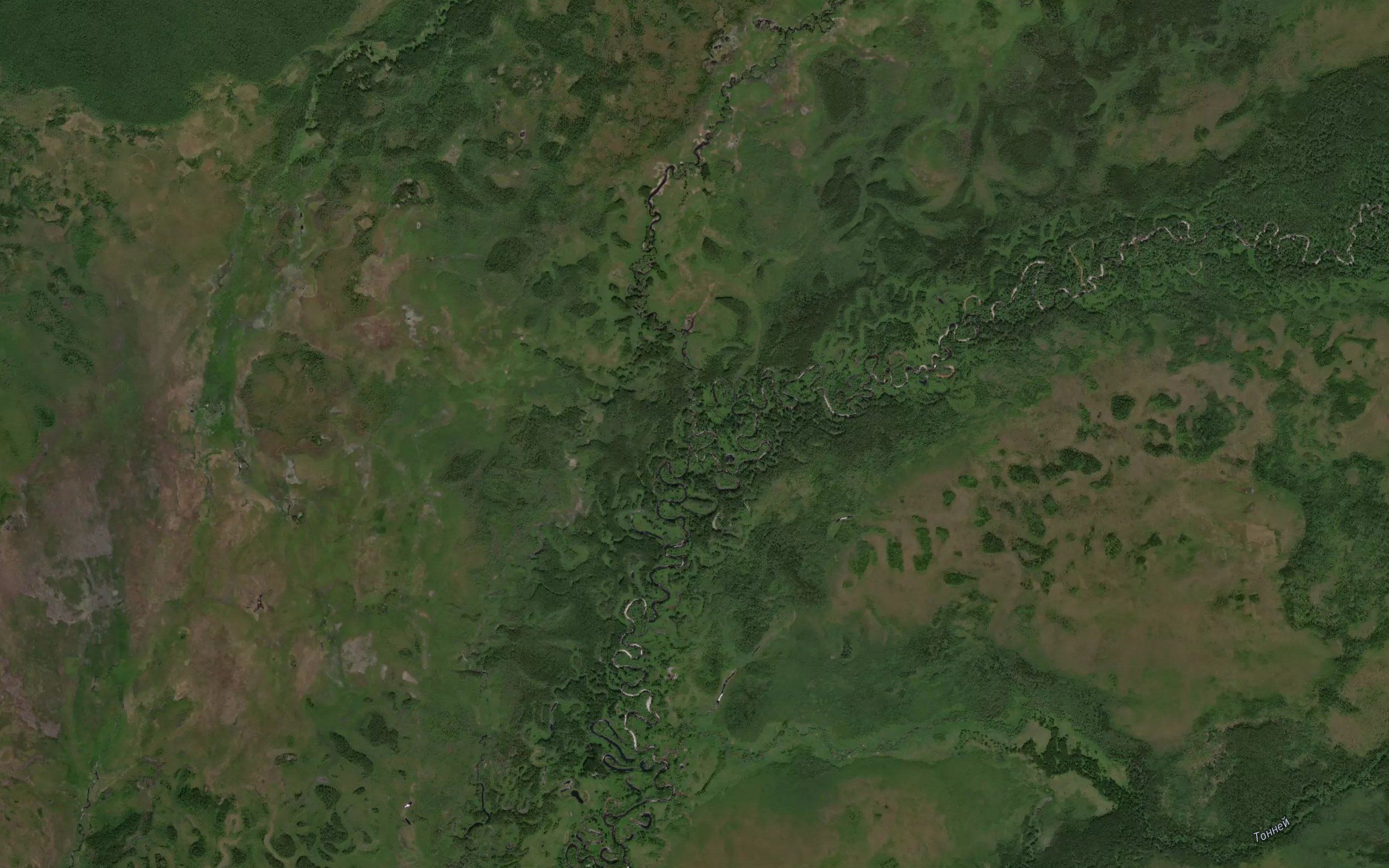 Gryaznyy