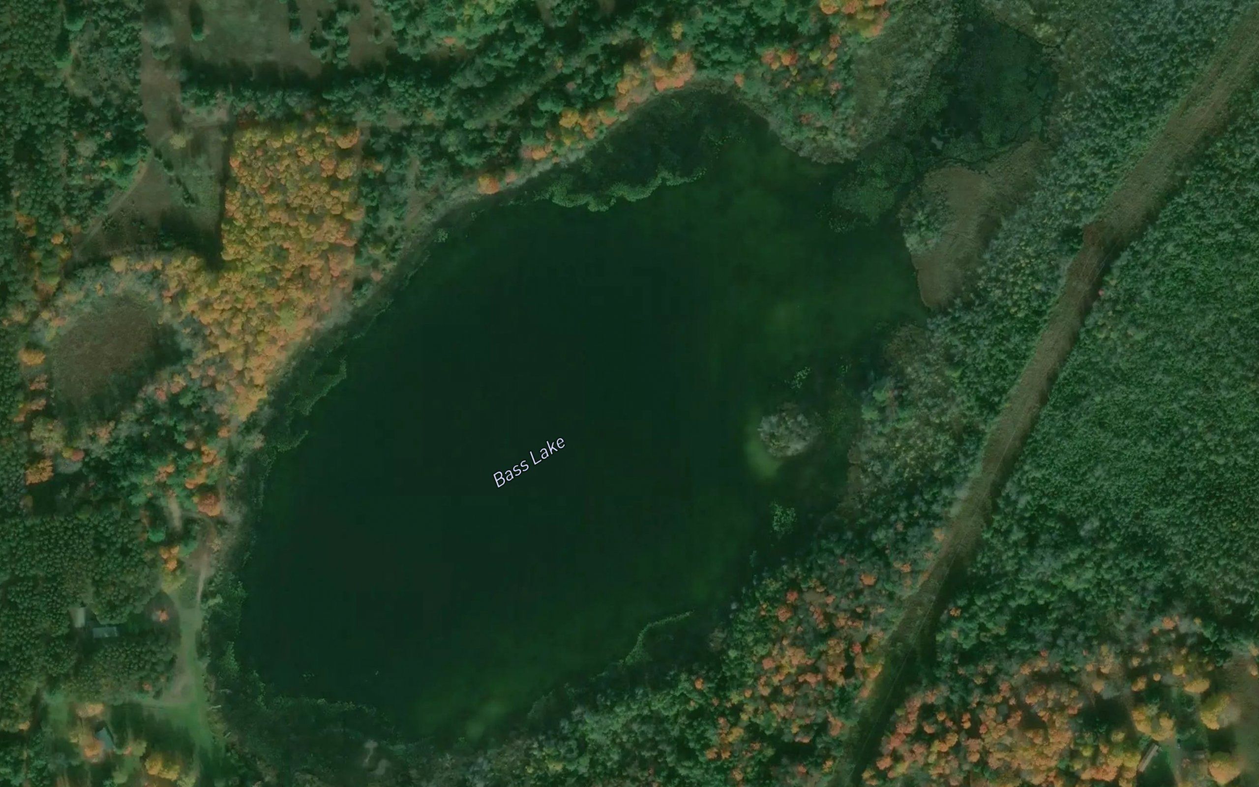 Bass Lake