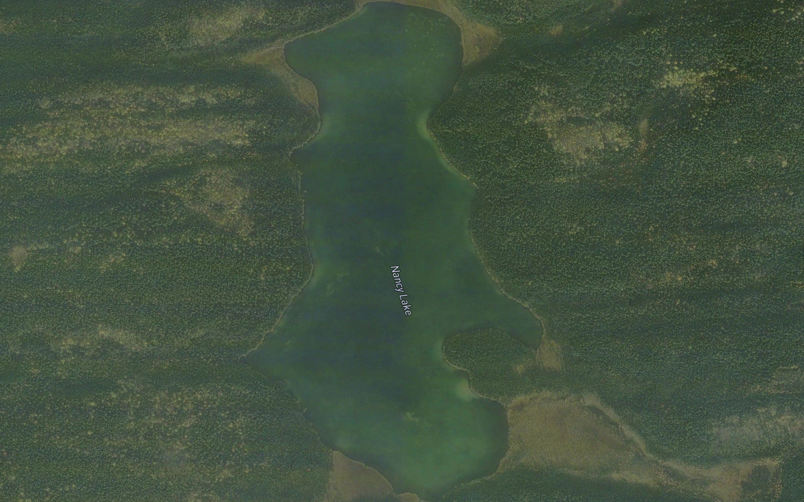 Nancy Lake