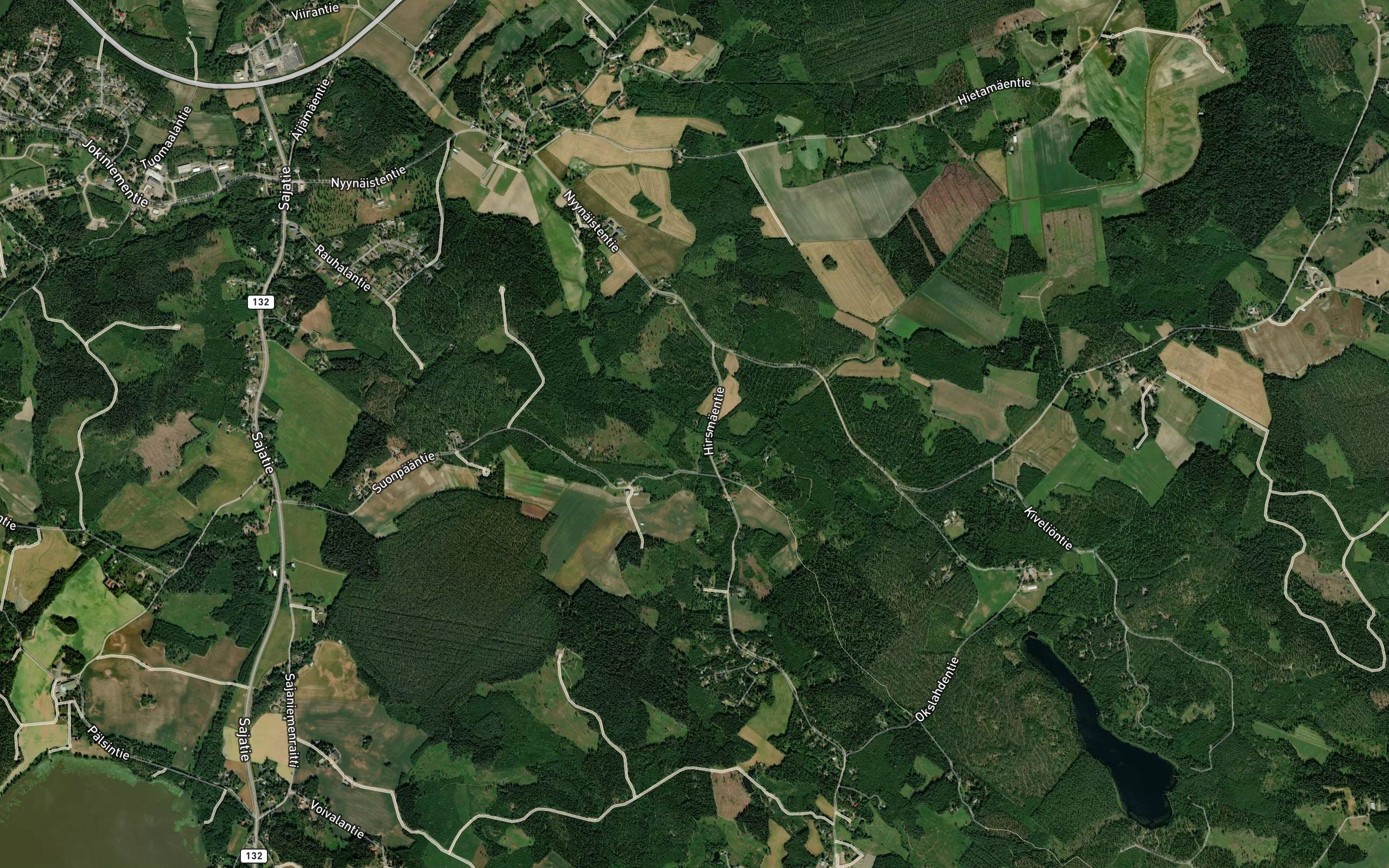 Leiniainen