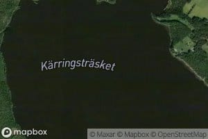 Kaeringtraesket