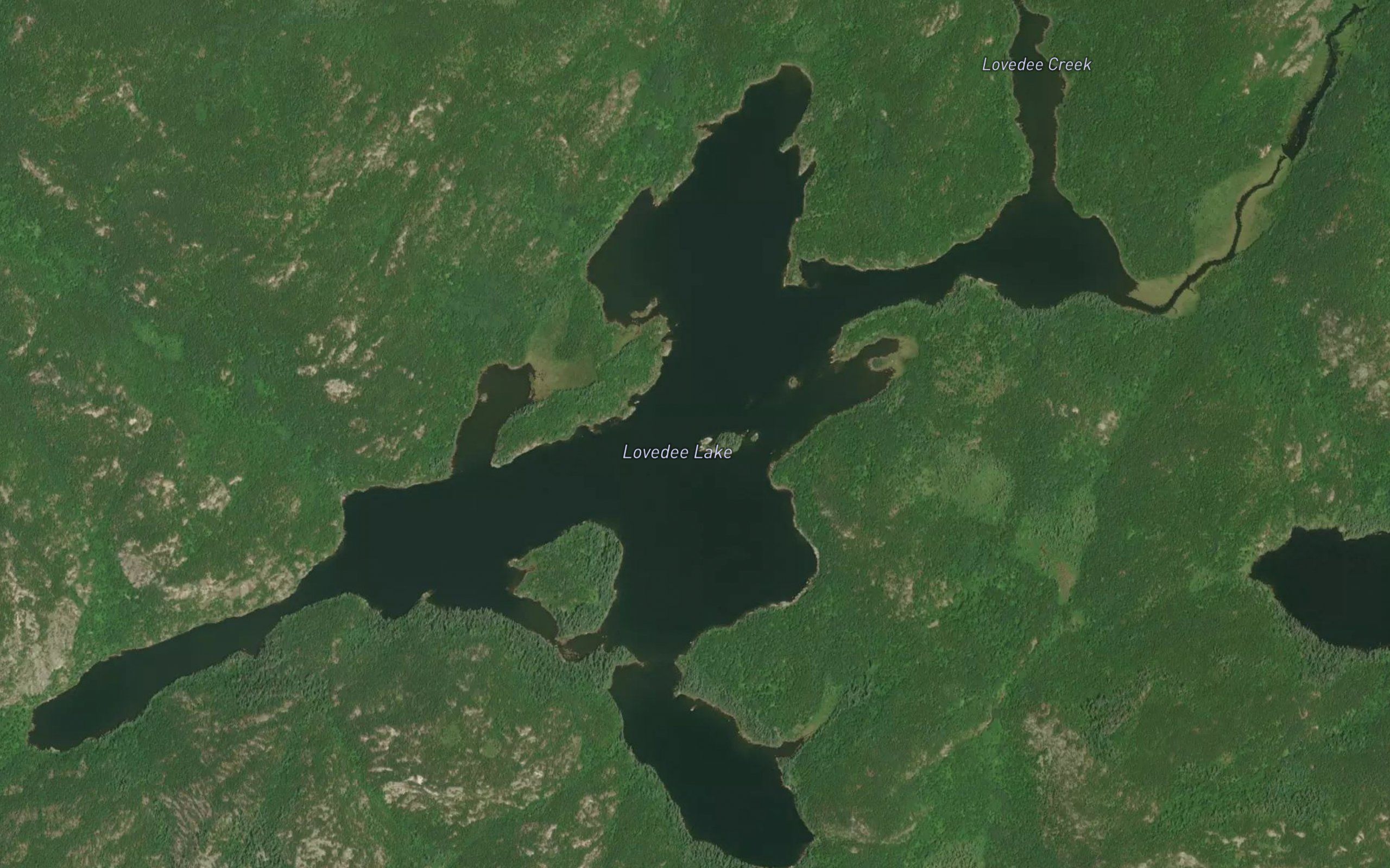 Lovedee Lake