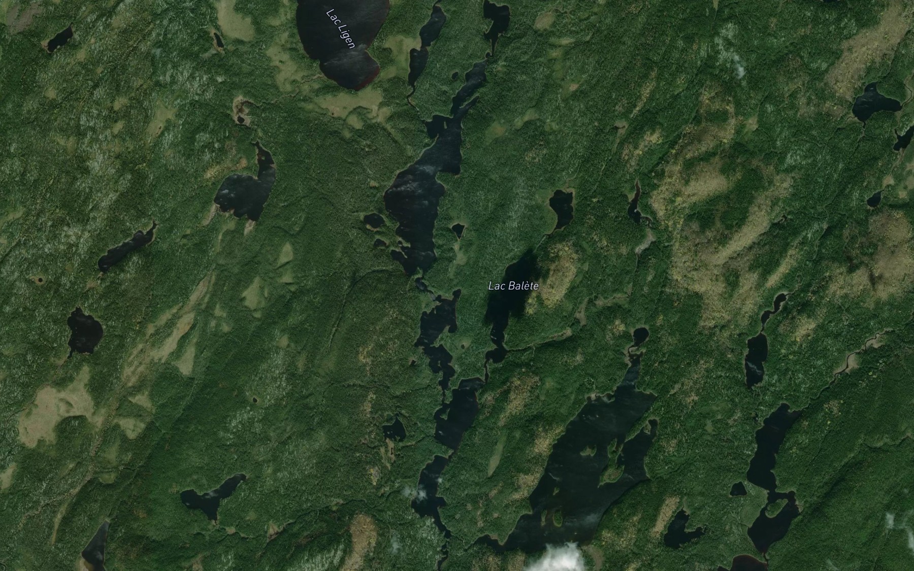 Satellite map of the Lac Balete