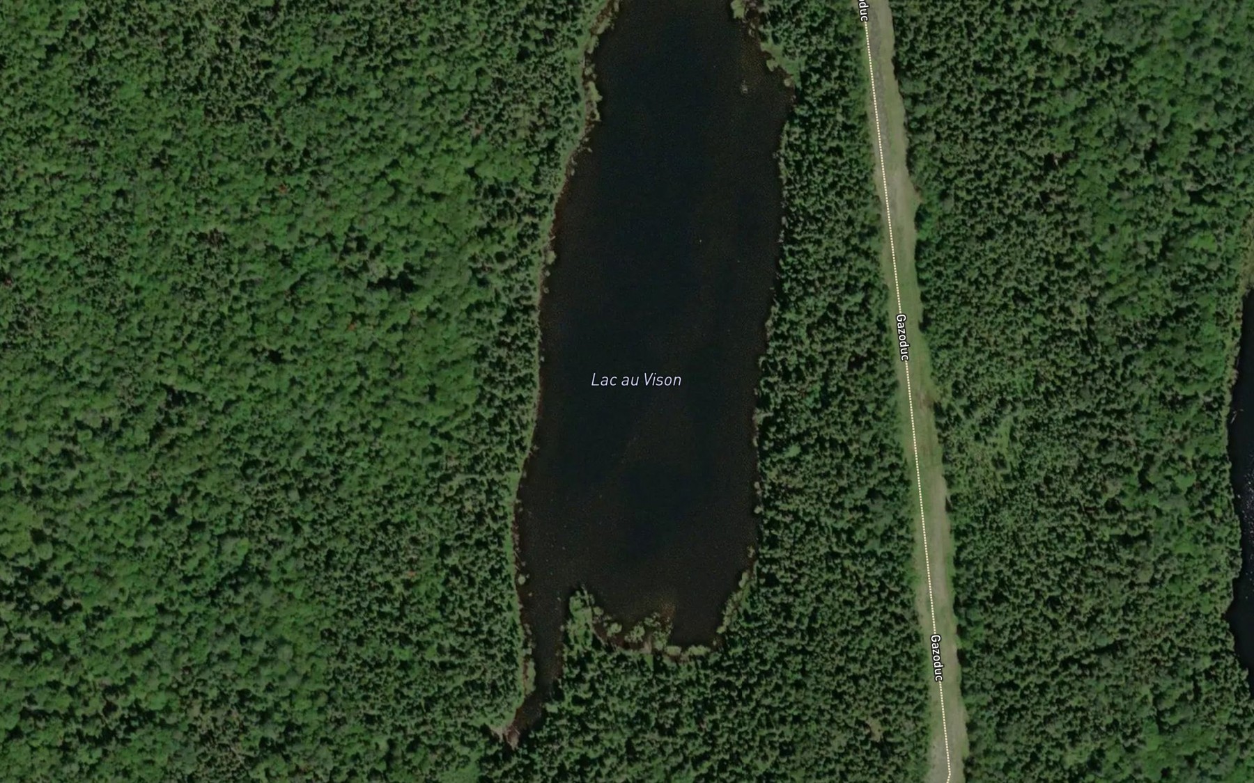 Satellite map of the Lac au Vison