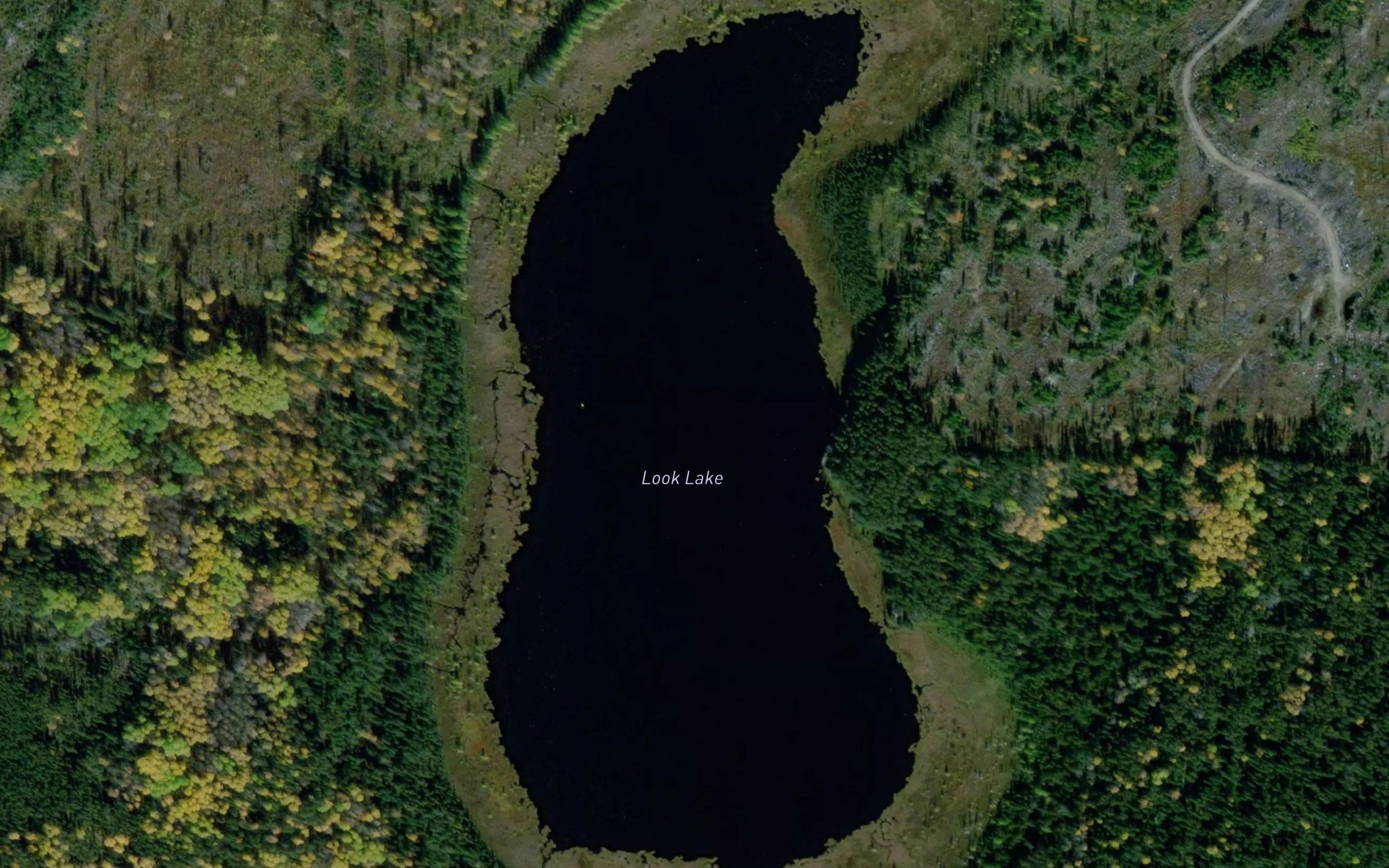 Look Lake