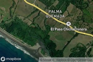 Estero Palma Quemada