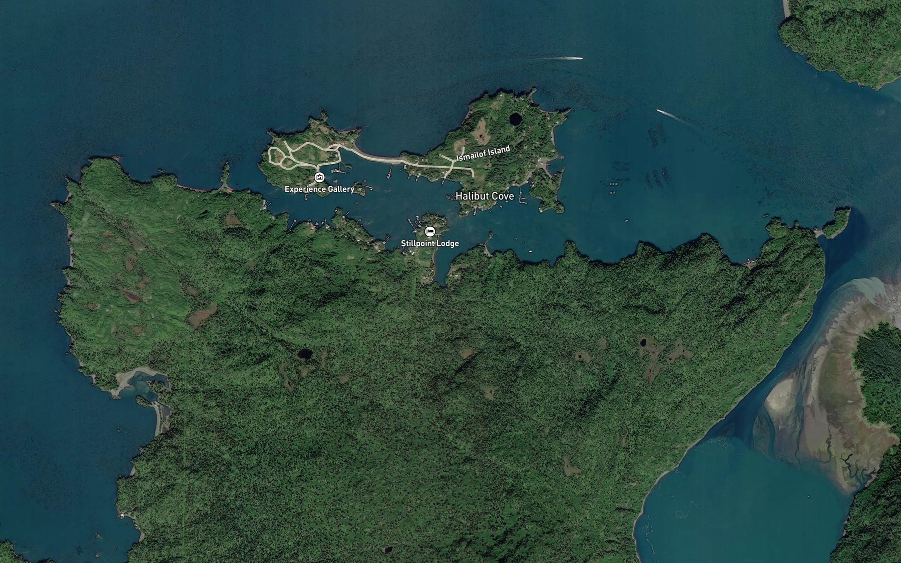 Satellite map of the Rosies Bight
