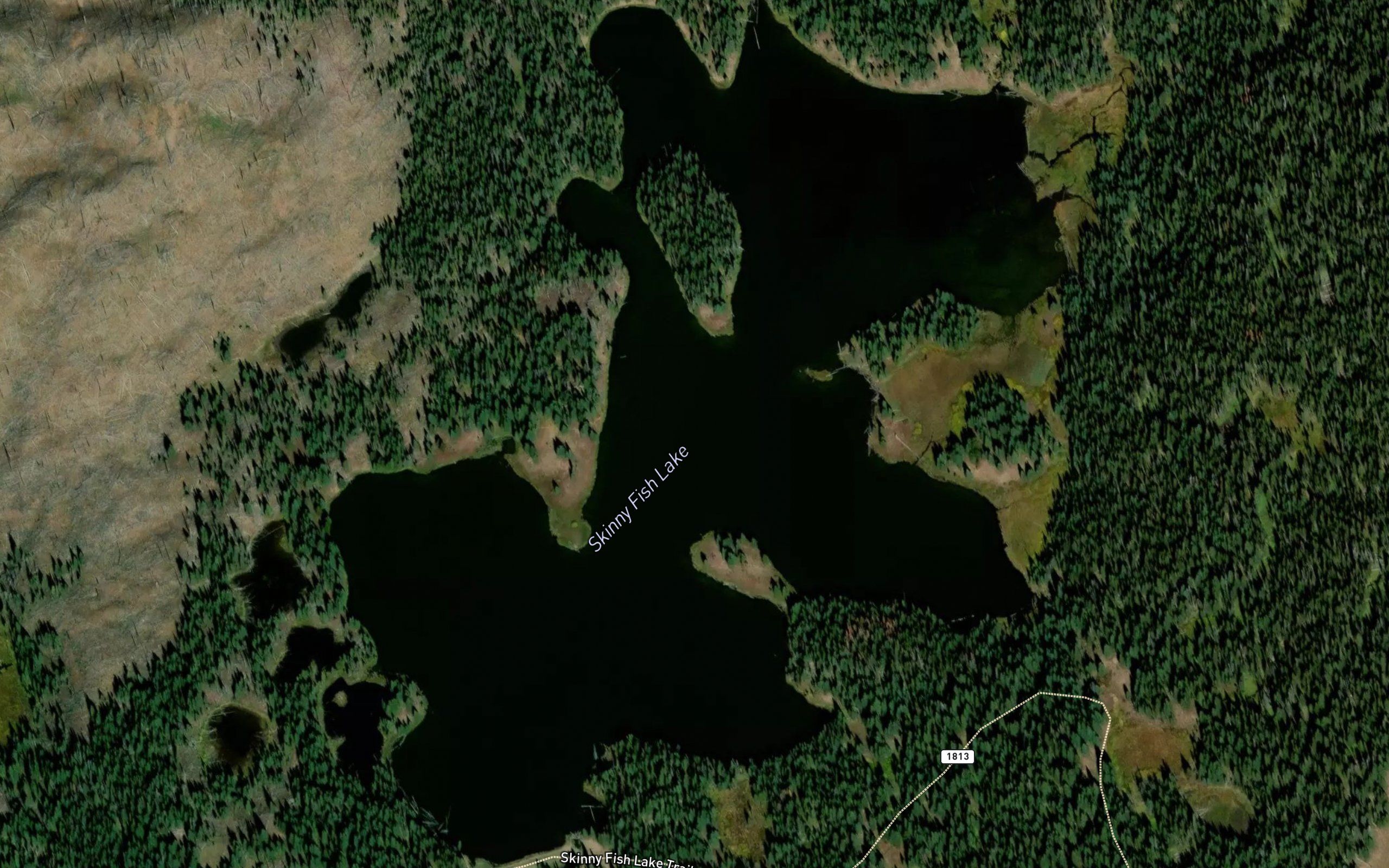 Skinny Fish Lake
