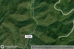 Brushy Forks