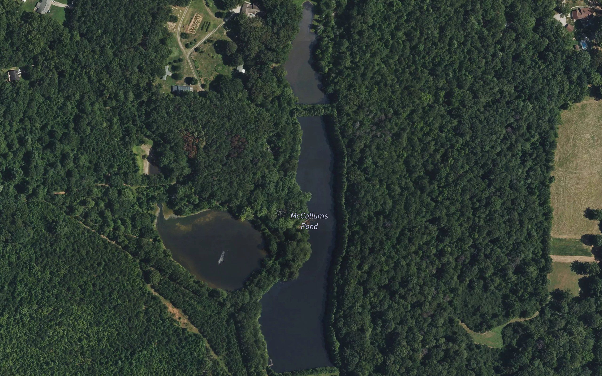 McCollums Pond