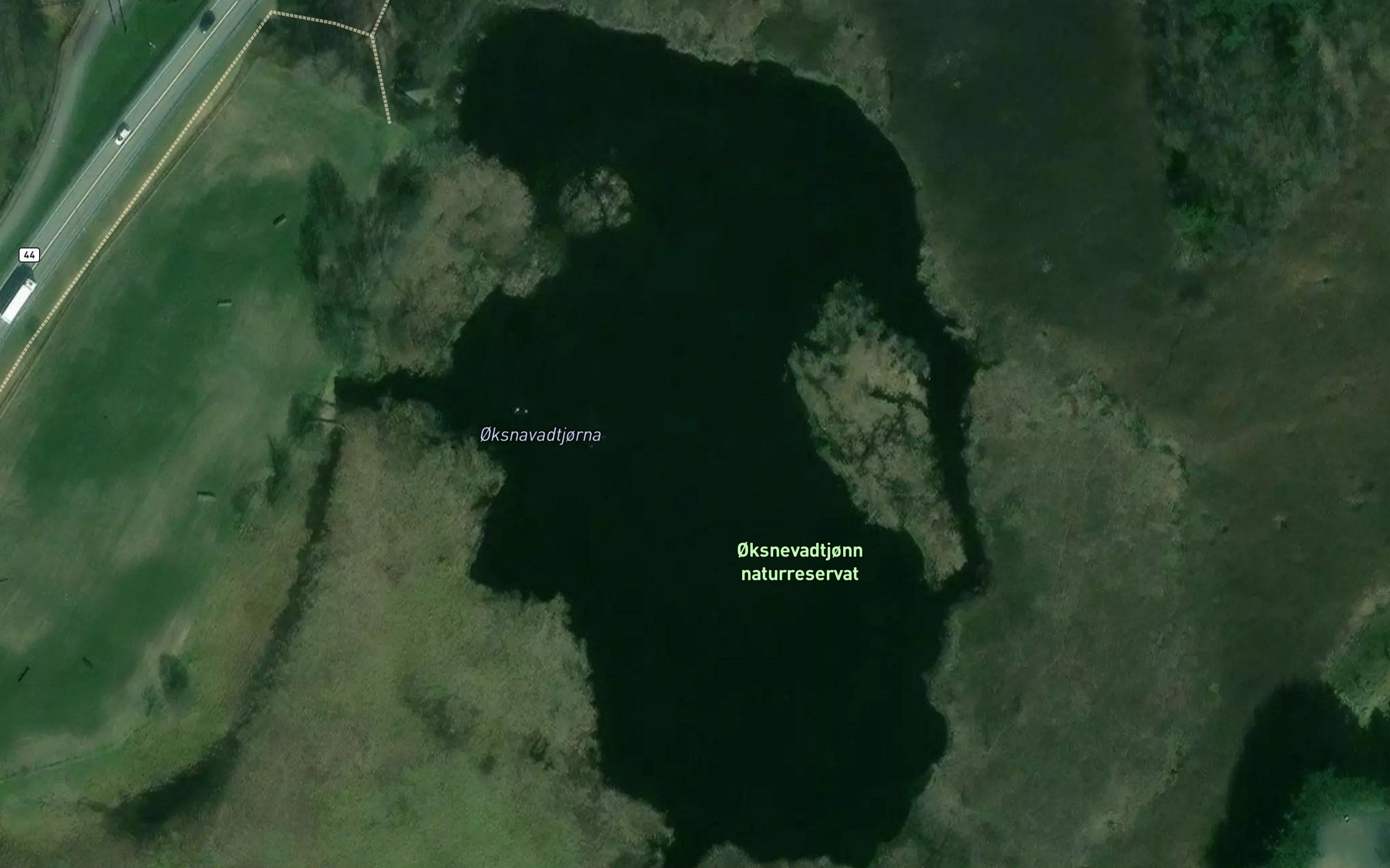 Oksnevadtjorna