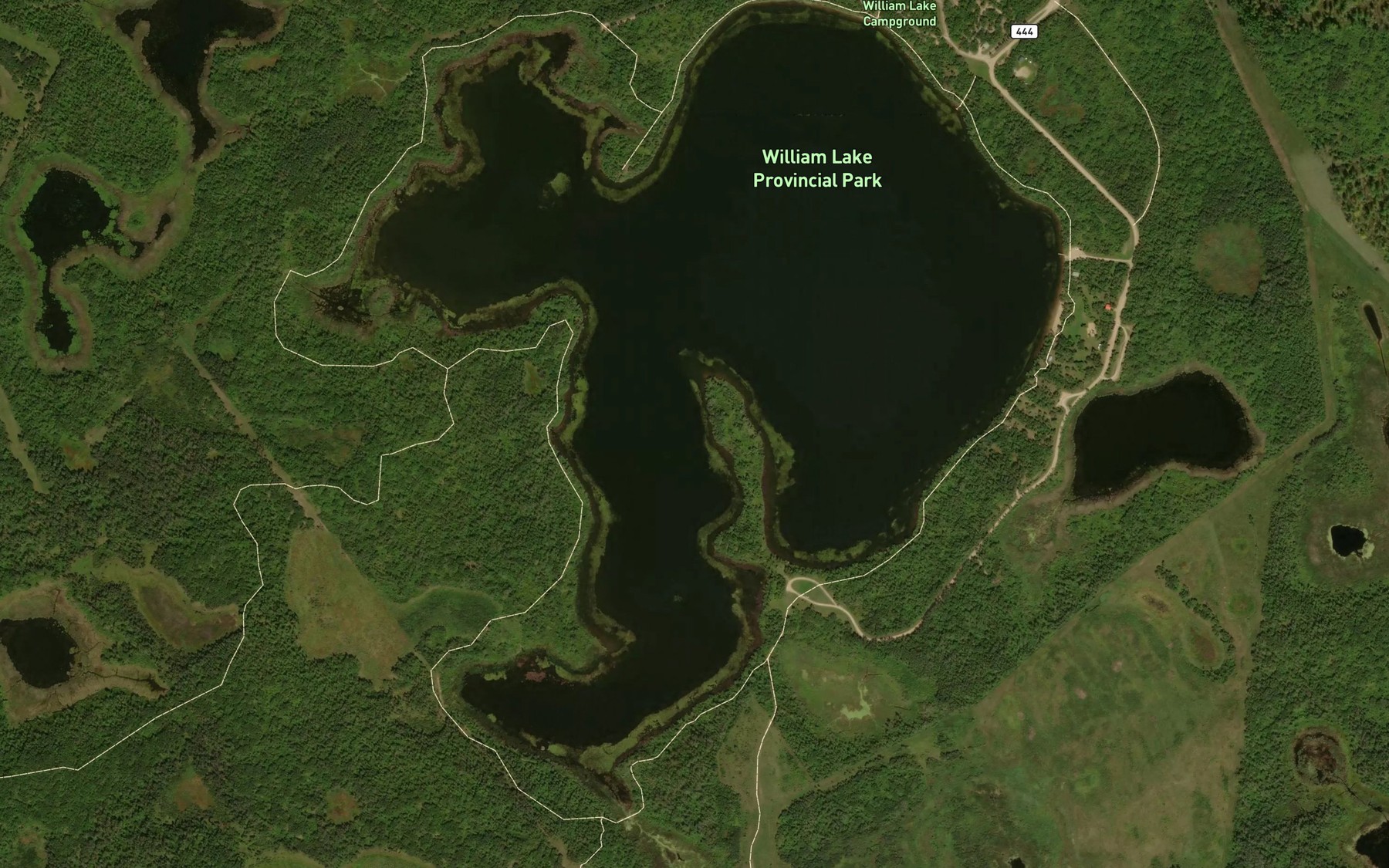 Satellite map of the William Lake