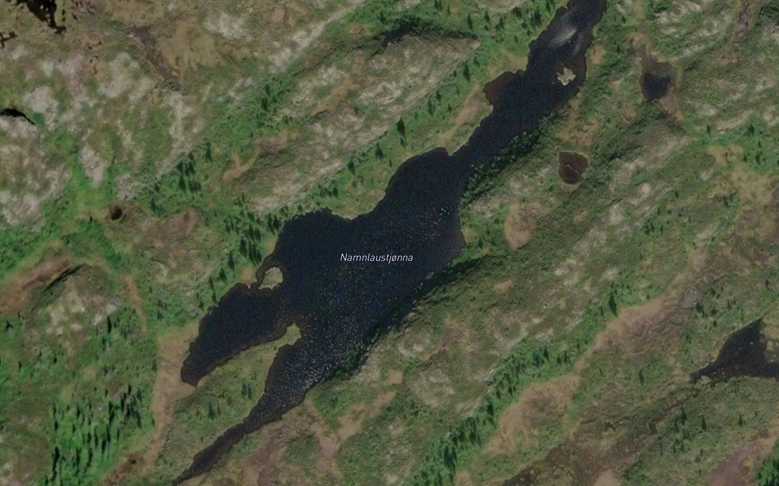 Namnlaustjorna