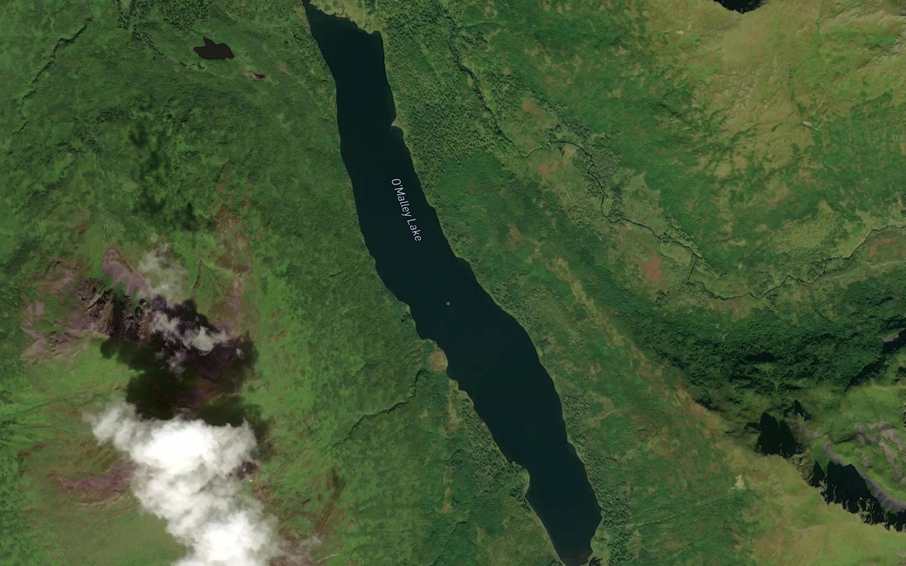 Satellite map of the O'Malley Lake