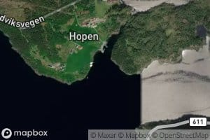 Hopsvika