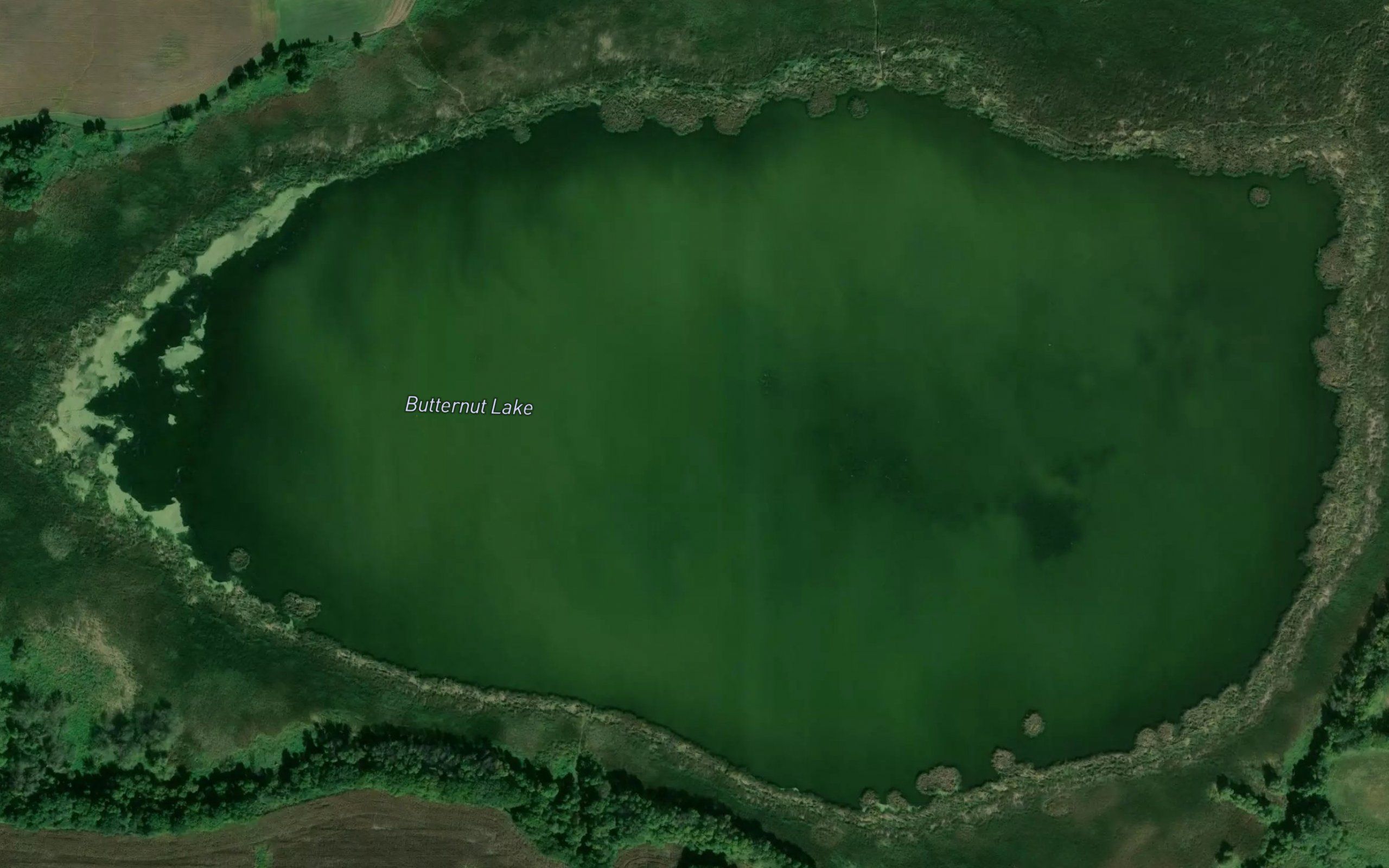 Butternut Lake