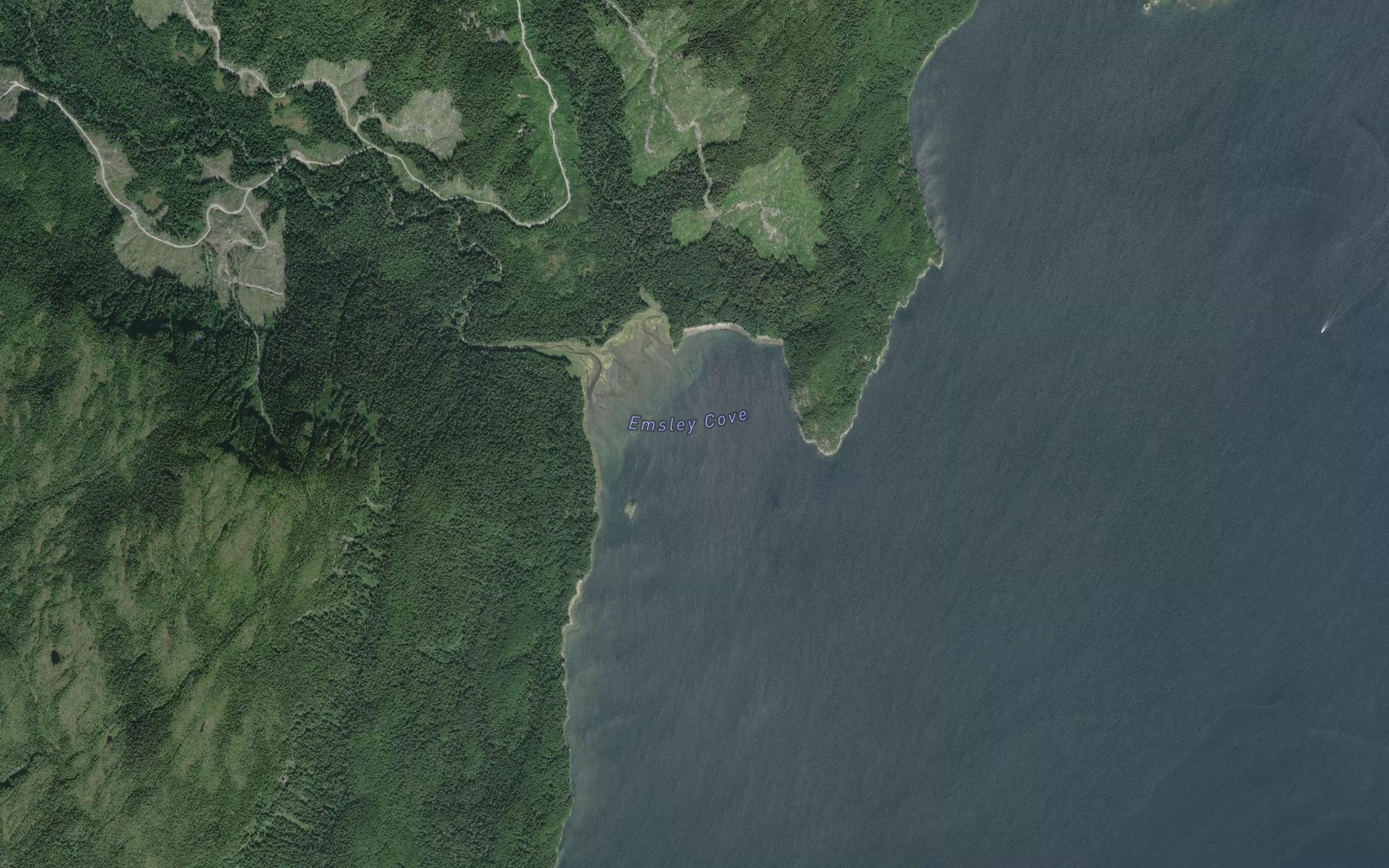 Satellite map of the Emsley Cove