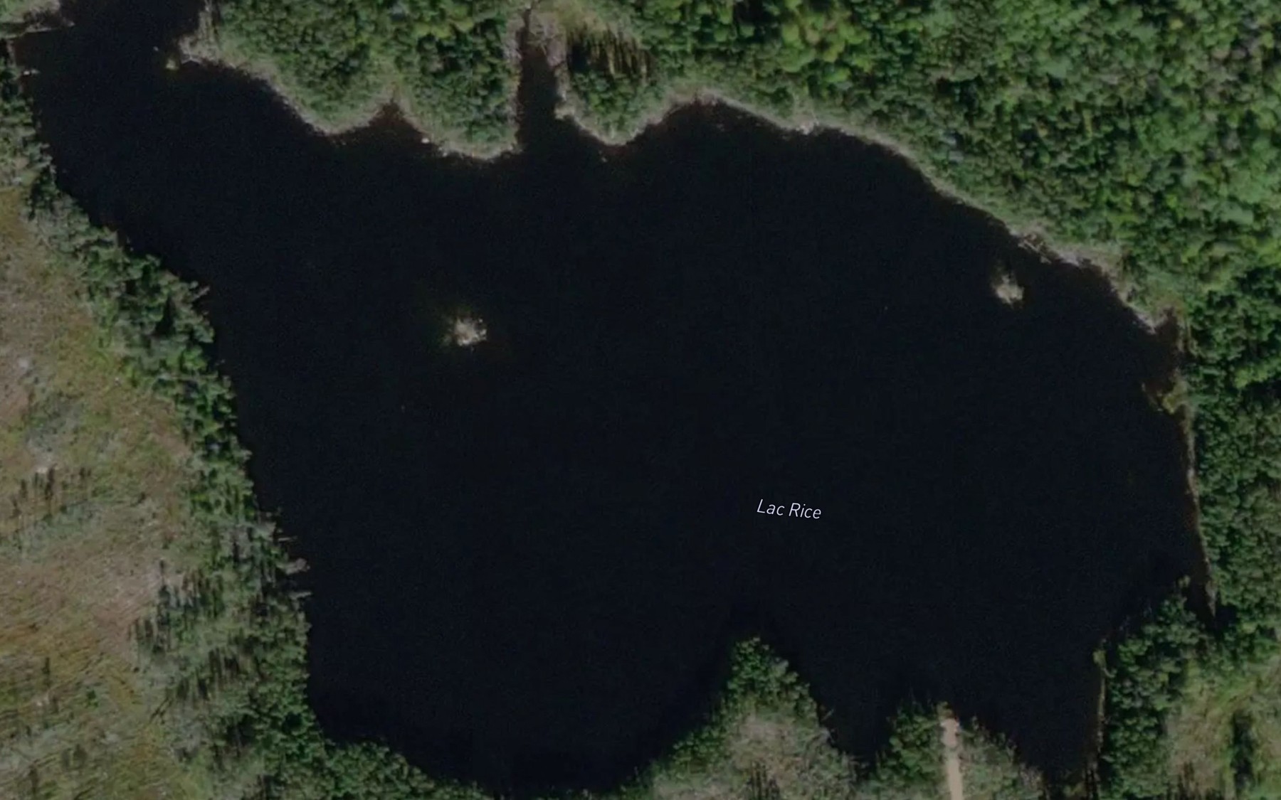 Satellite map of the Lac Rice