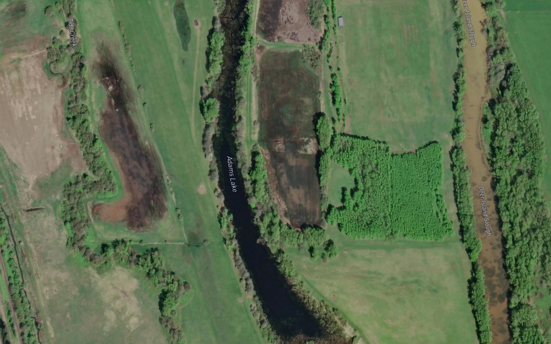 Satellite map of the Adams Lake