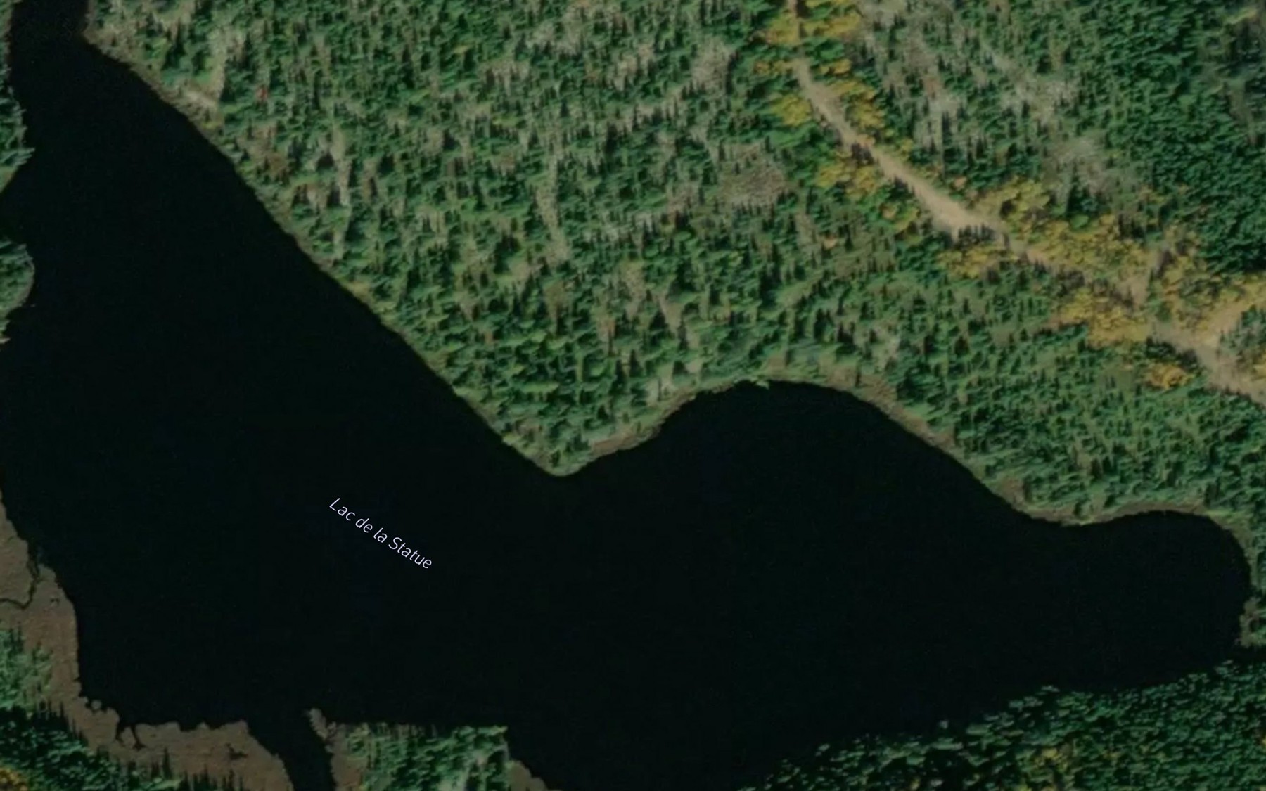 Satellite map of the Lac de la Statue