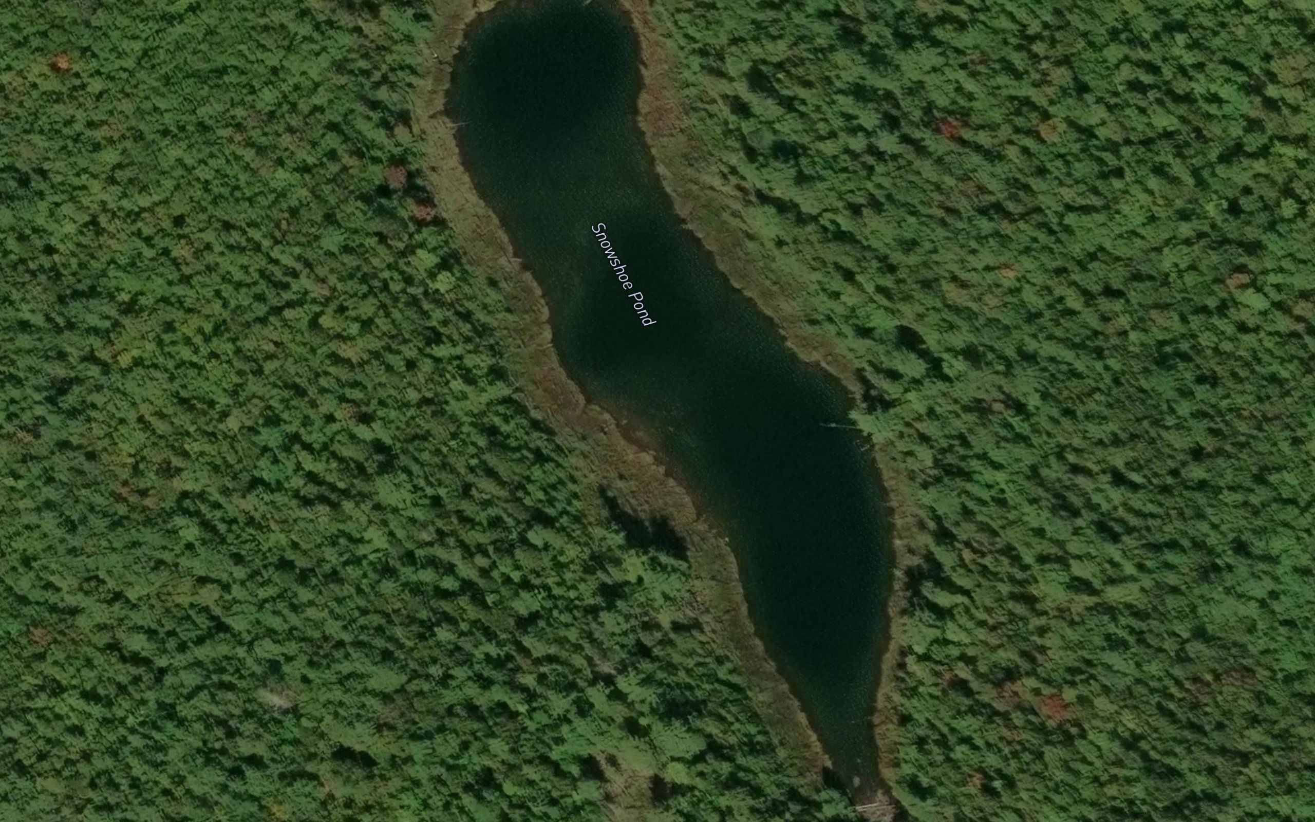 Snowshoe Pond