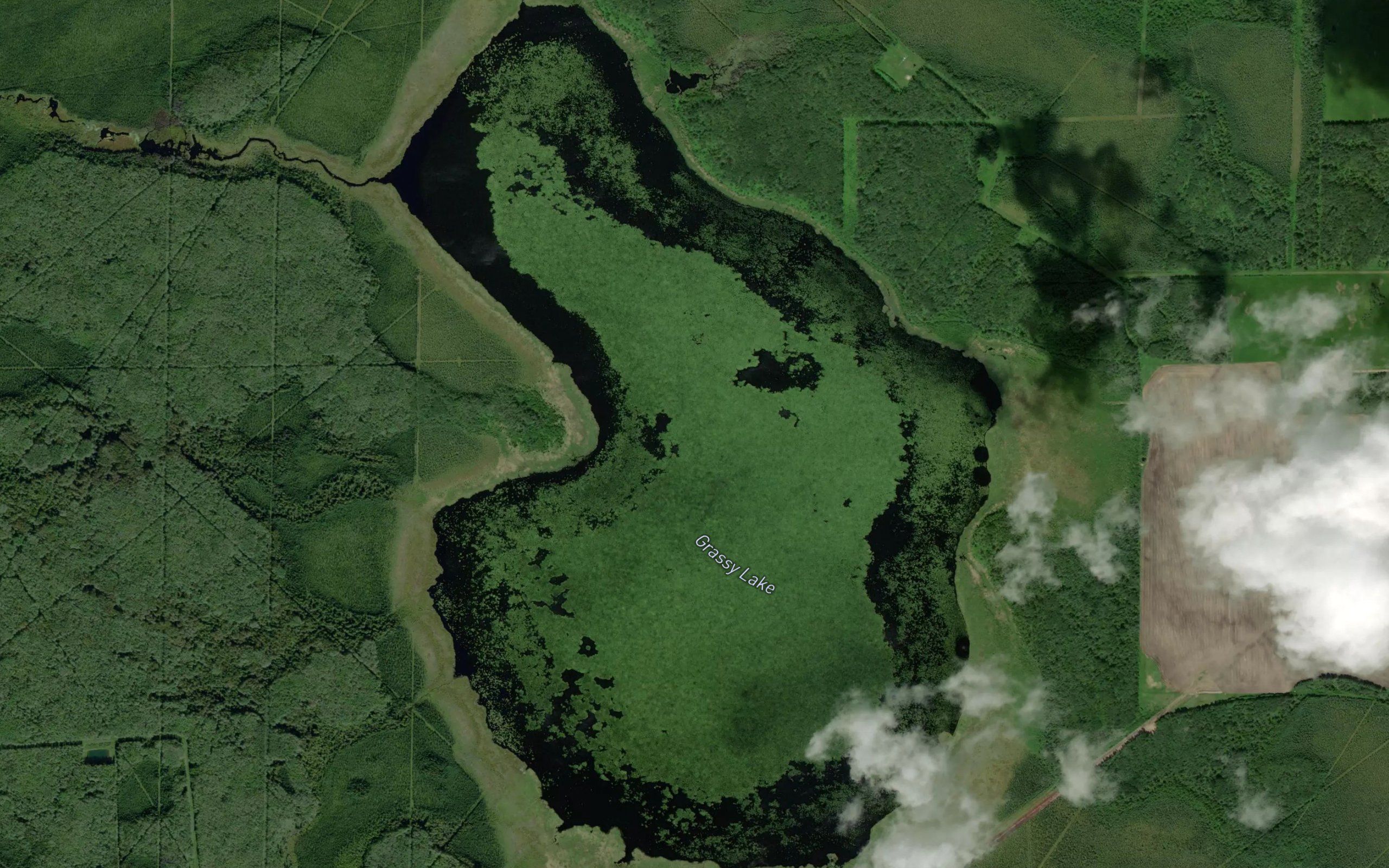 Grassy Lake