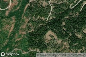 Tamarack Spring