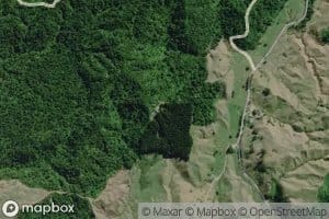 Mangakahikatea Stream